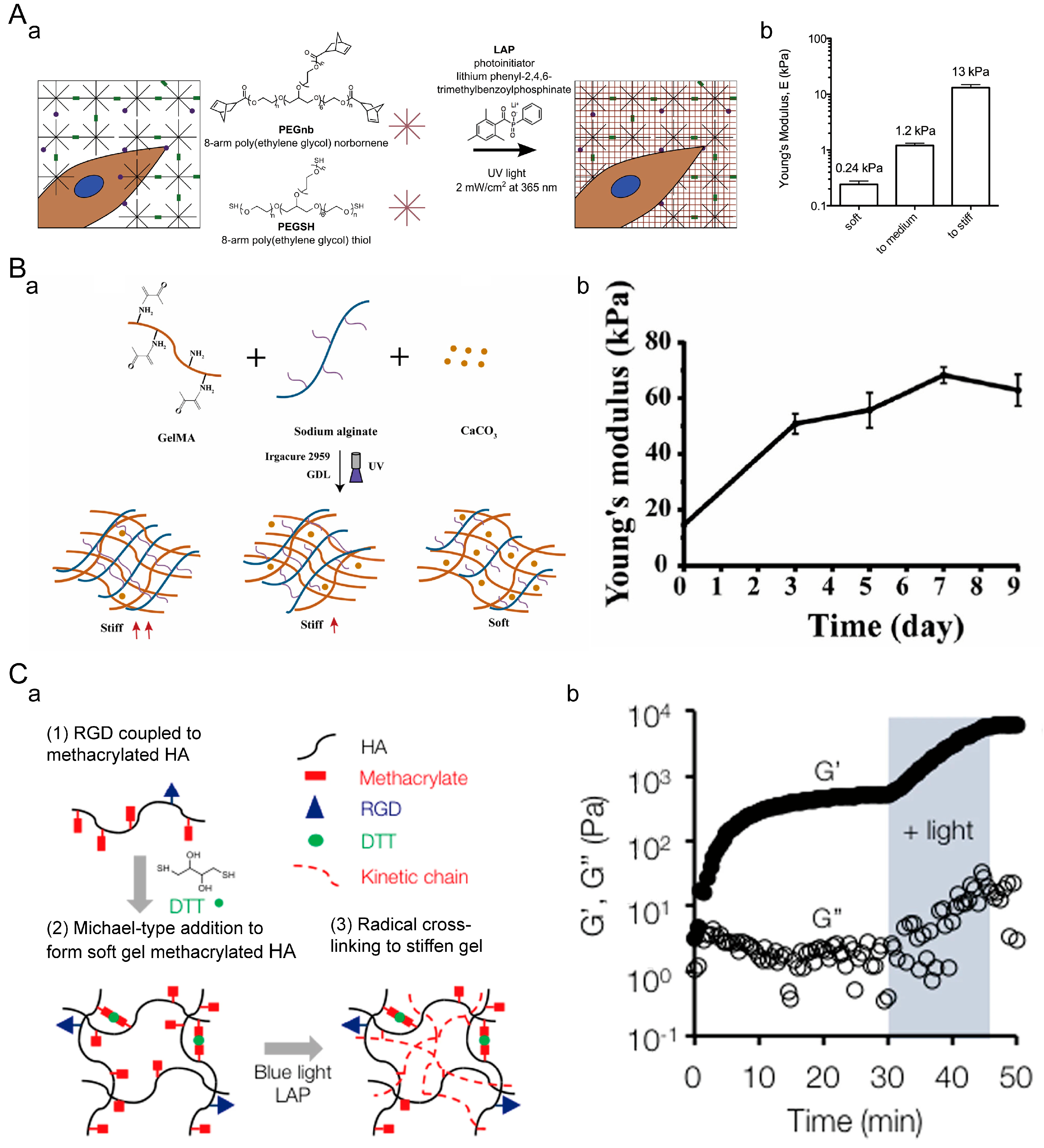 Materials 16 05161 g010 Materials 16 05161 g010