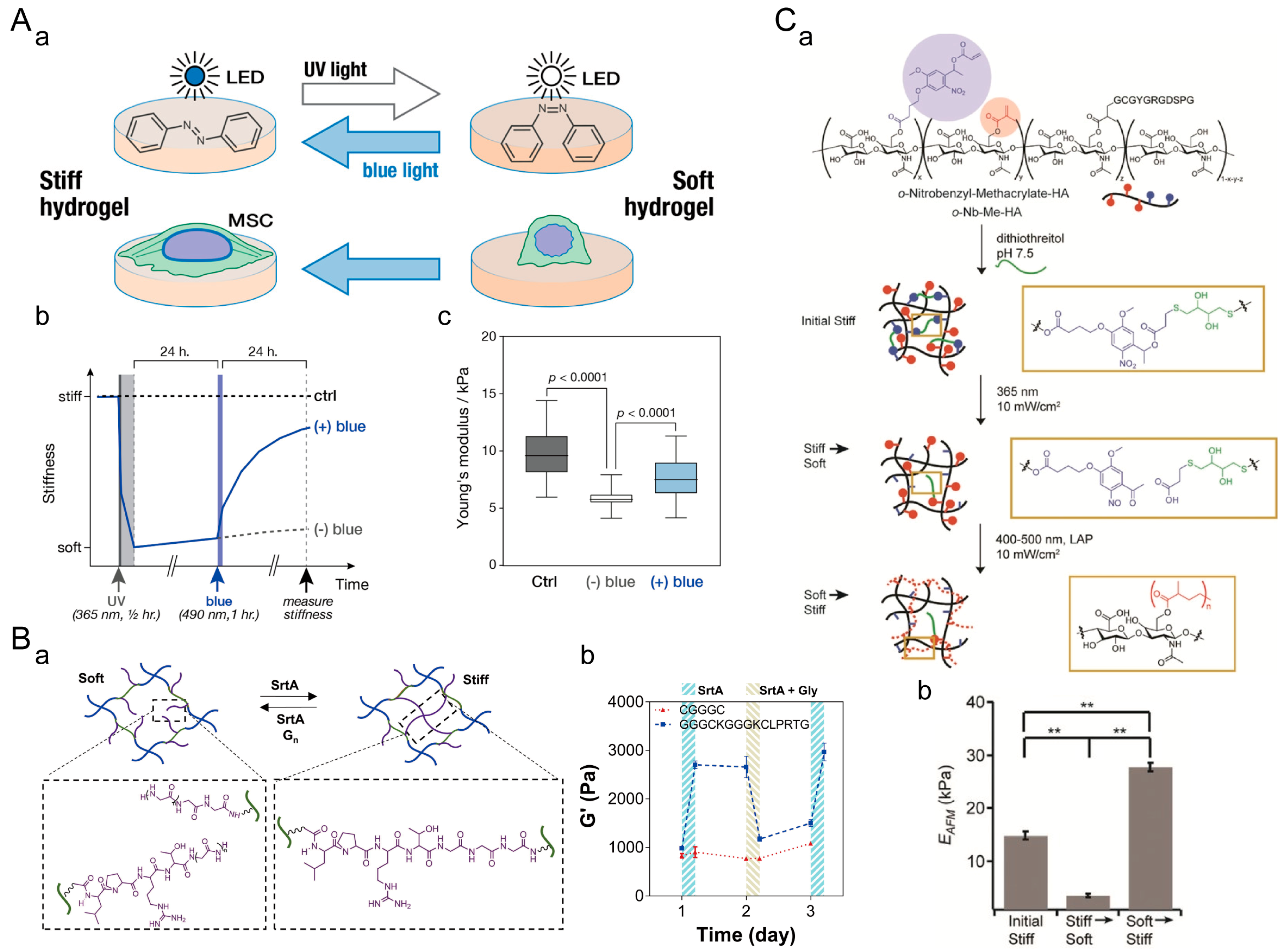 Materials 16 05161 g011 Materials 16 05161 g011