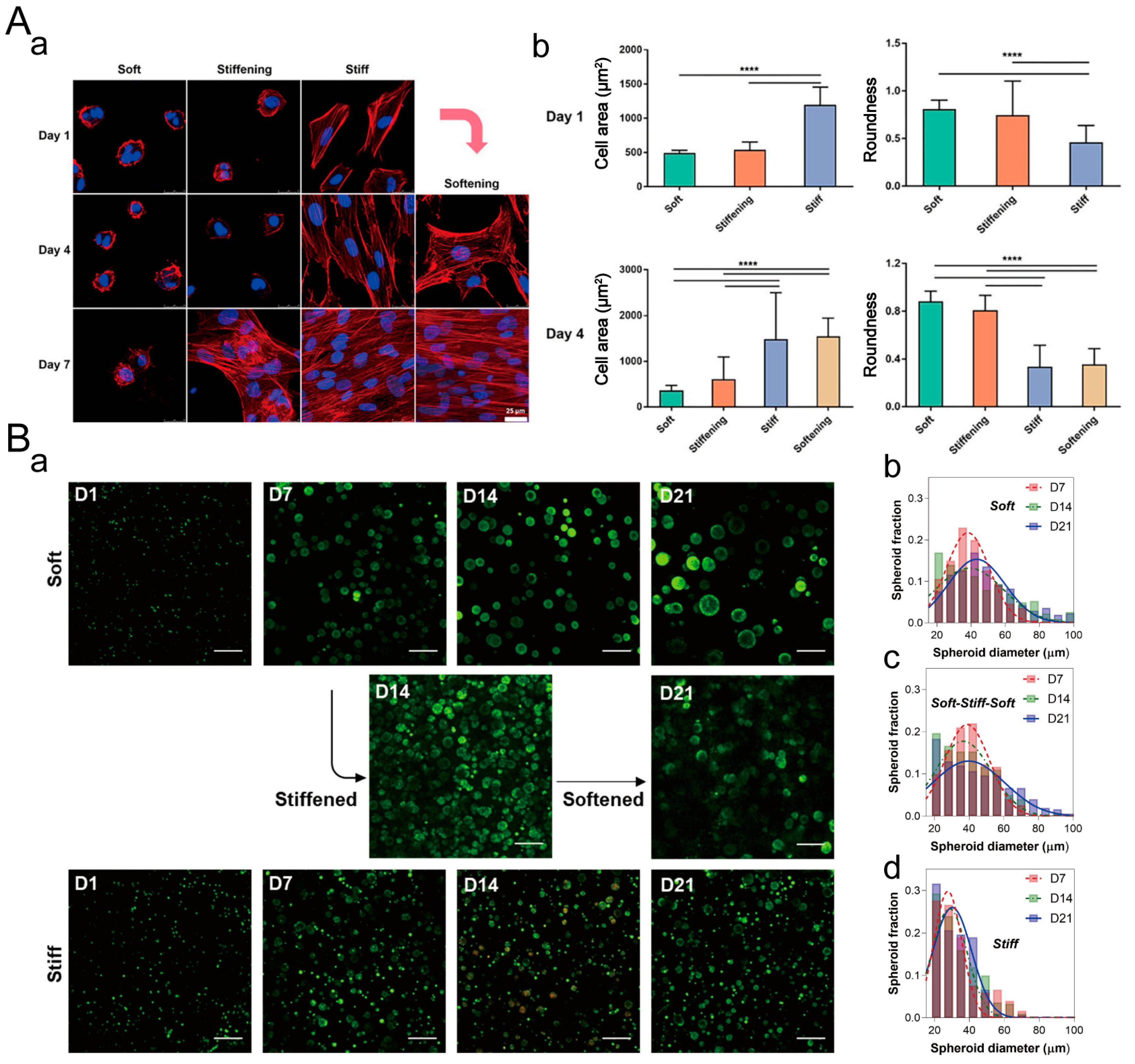 Materials 16 05161 g016 Materials 16 05161 g016