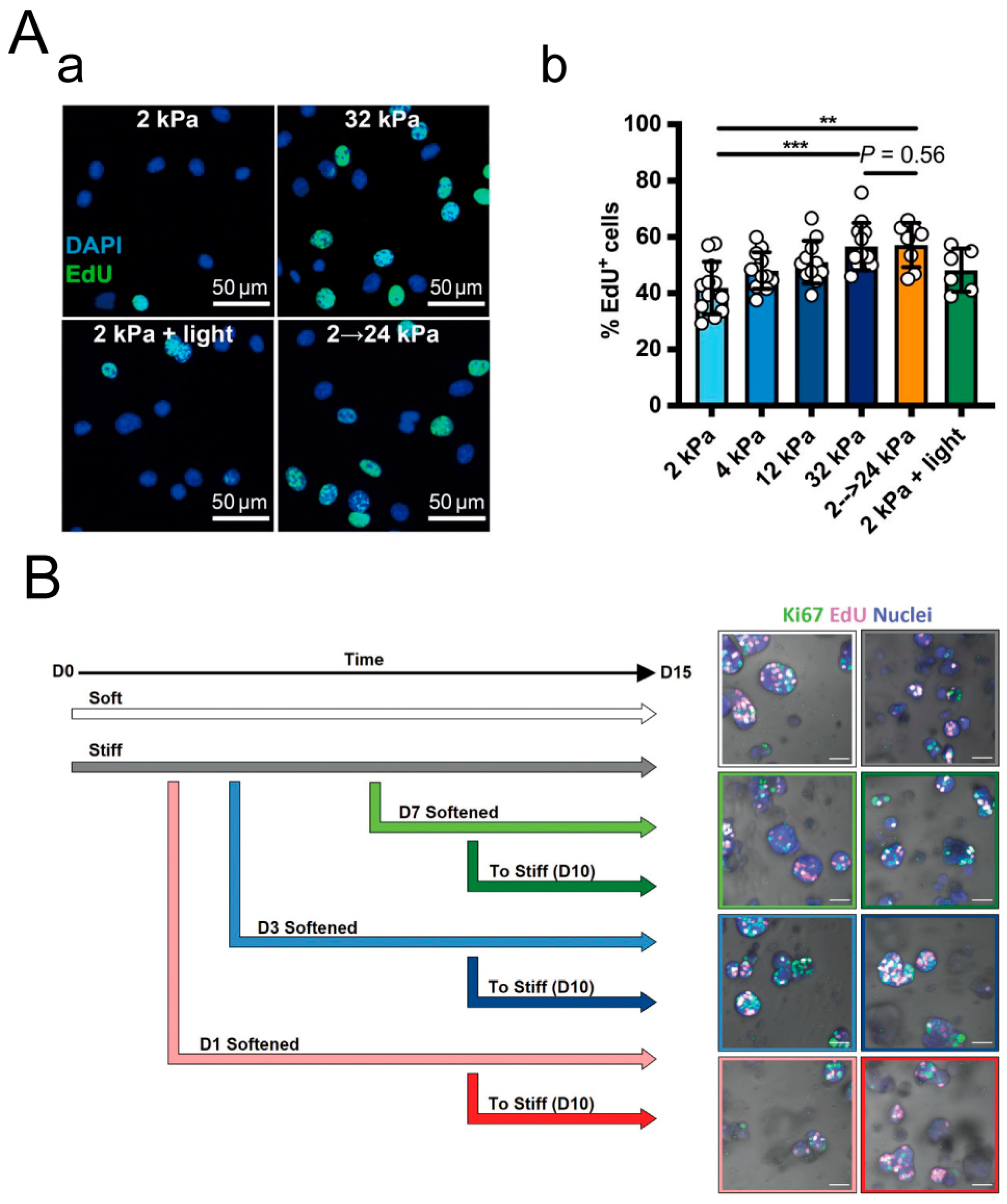 Materials 16 05161 g017 Materials 16 05161 g017