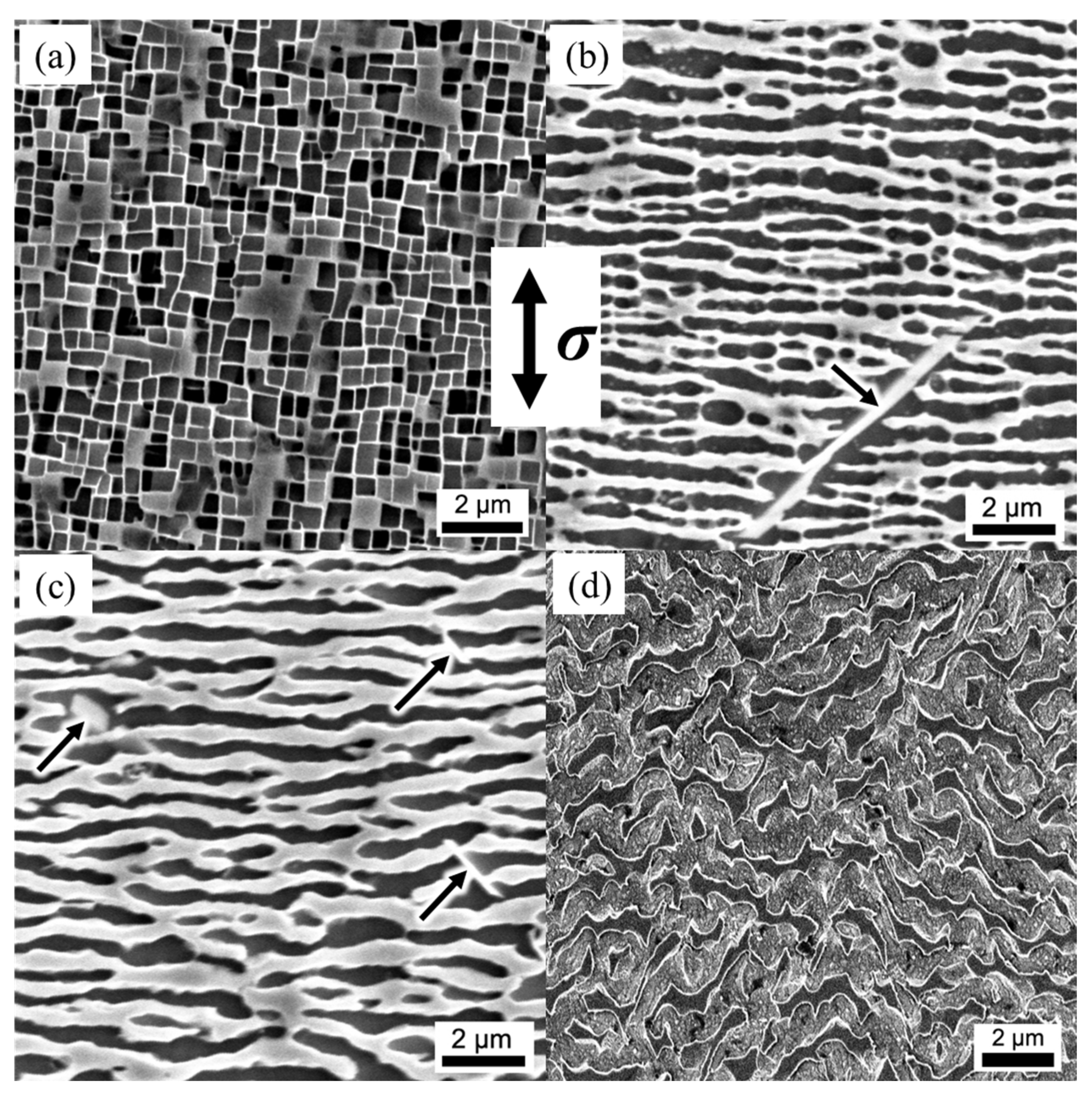 Materials 16 05166 g003 Materials 16 05166 g003