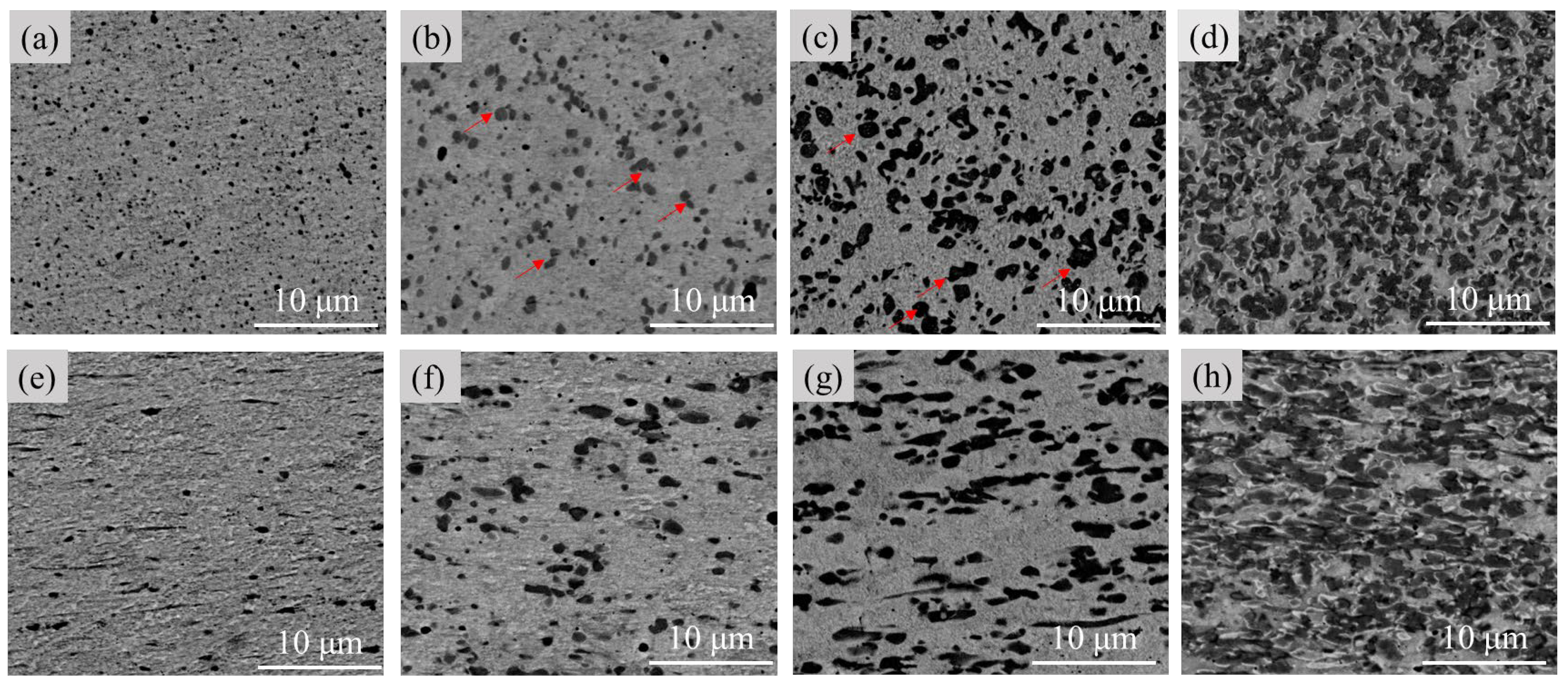 Materials 16 05180 g002 Materials 16 05180 g002