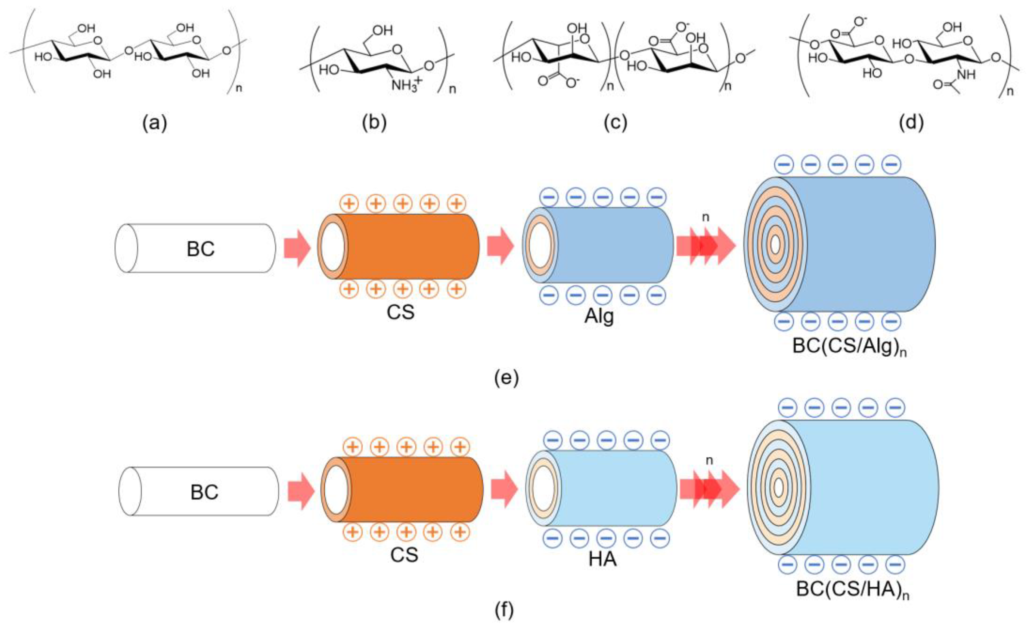 Materials 16 05189 g003
