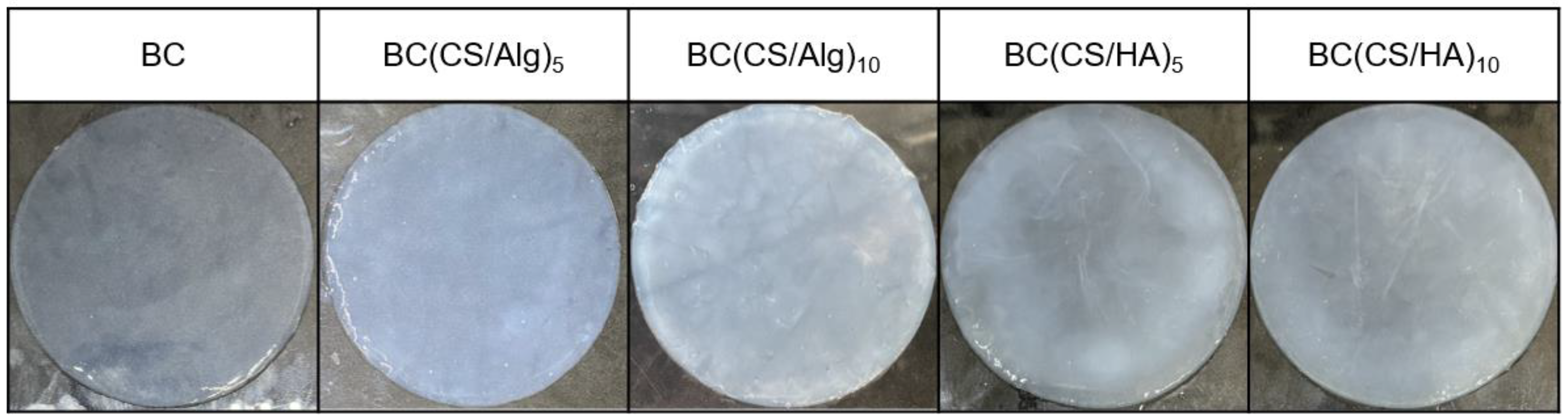 Materials 16 05189 g006