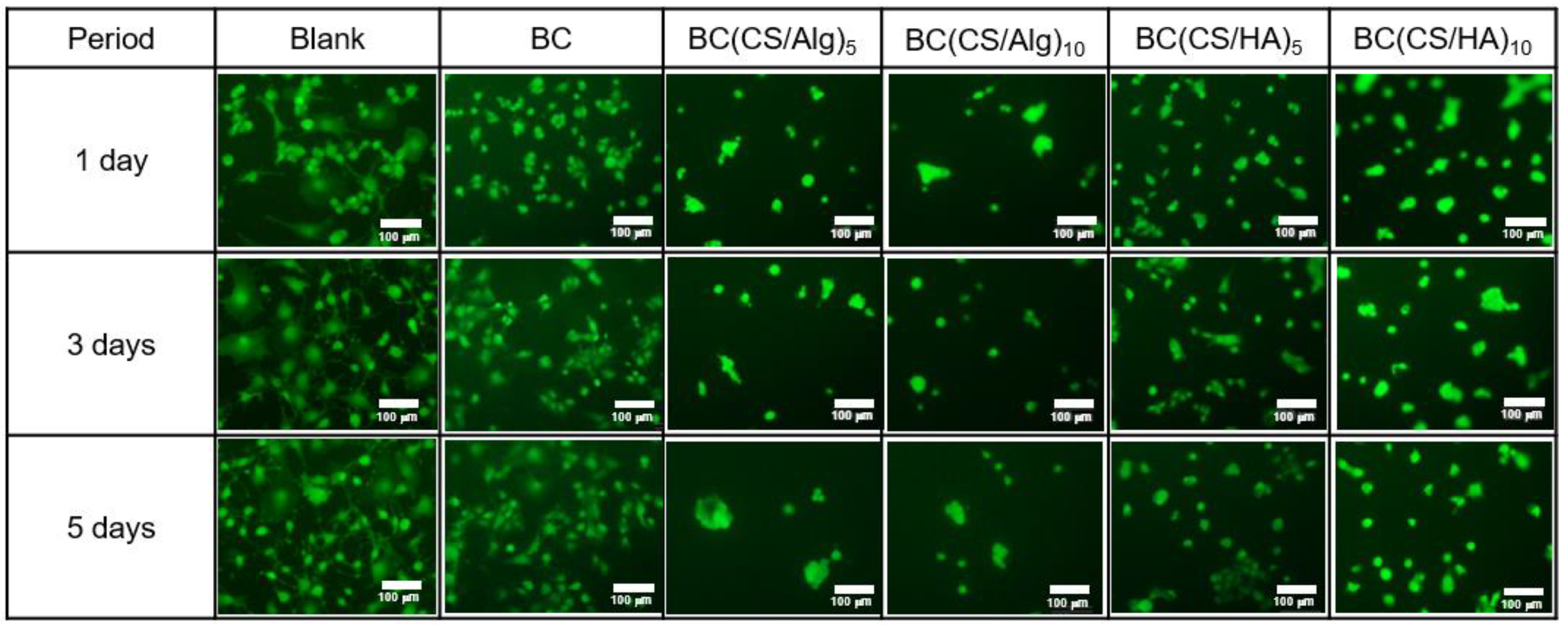 Materials 16 05189 g009