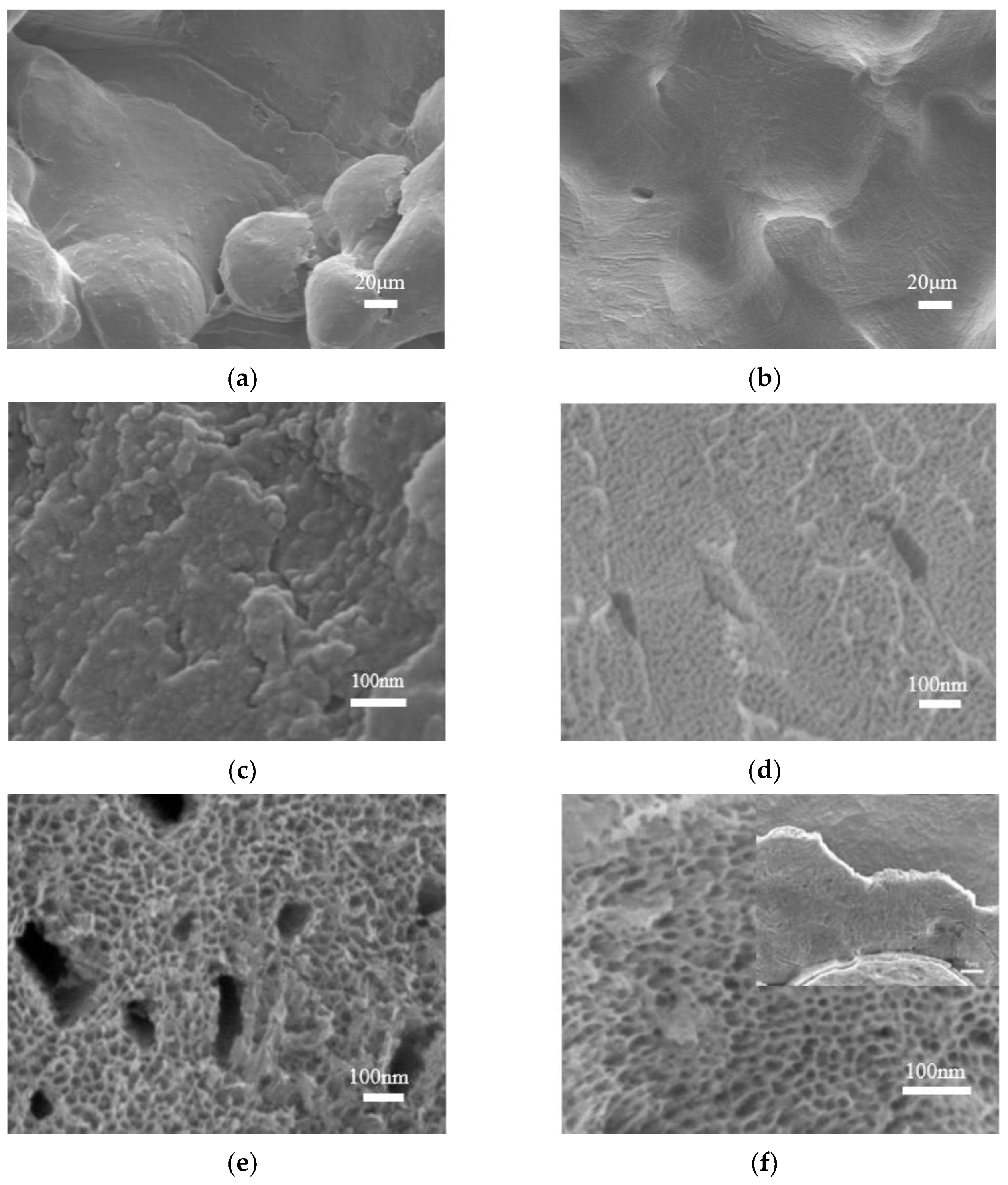 Materials 16 05206 g003