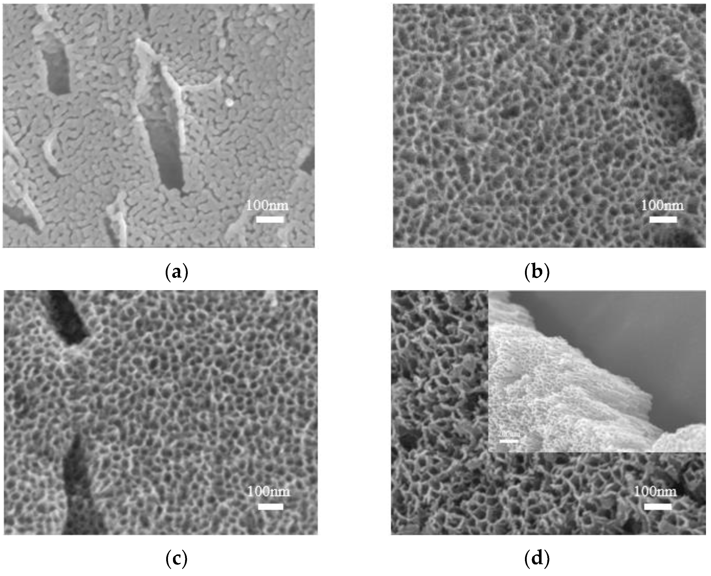 Materials 16 05206 g004