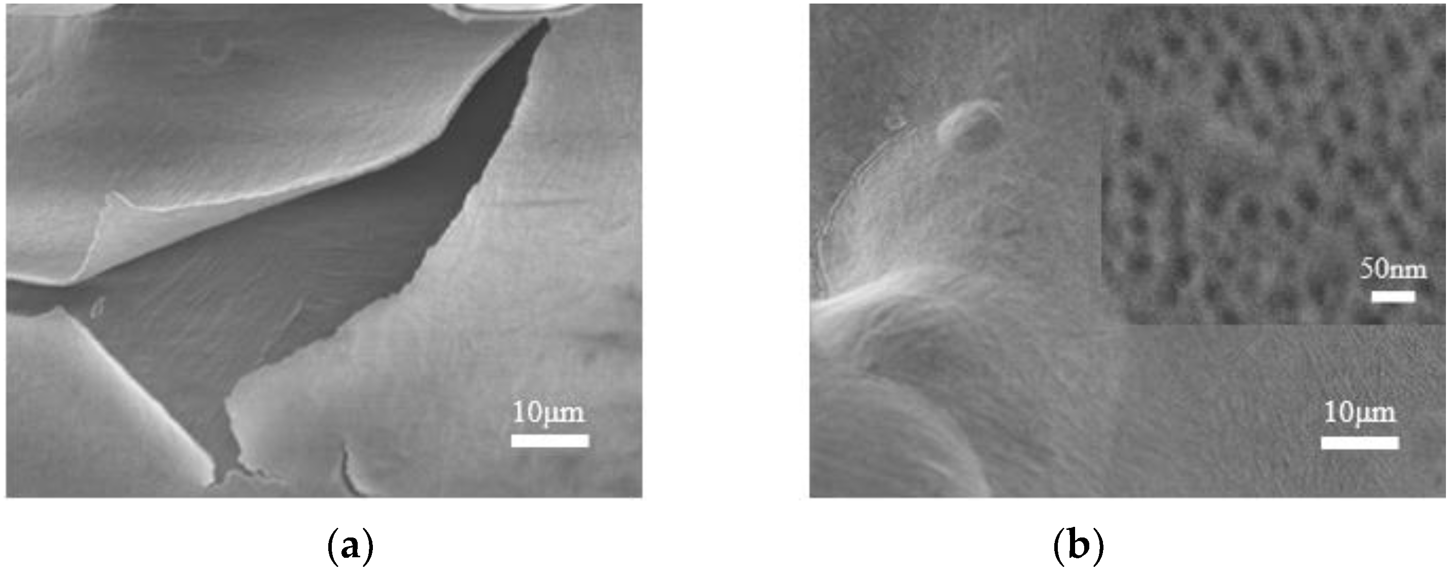 Materials 16 05206 g005