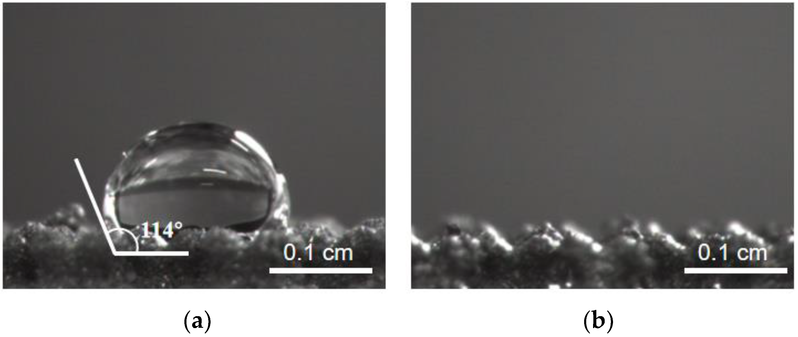 Materials 16 05206 g006