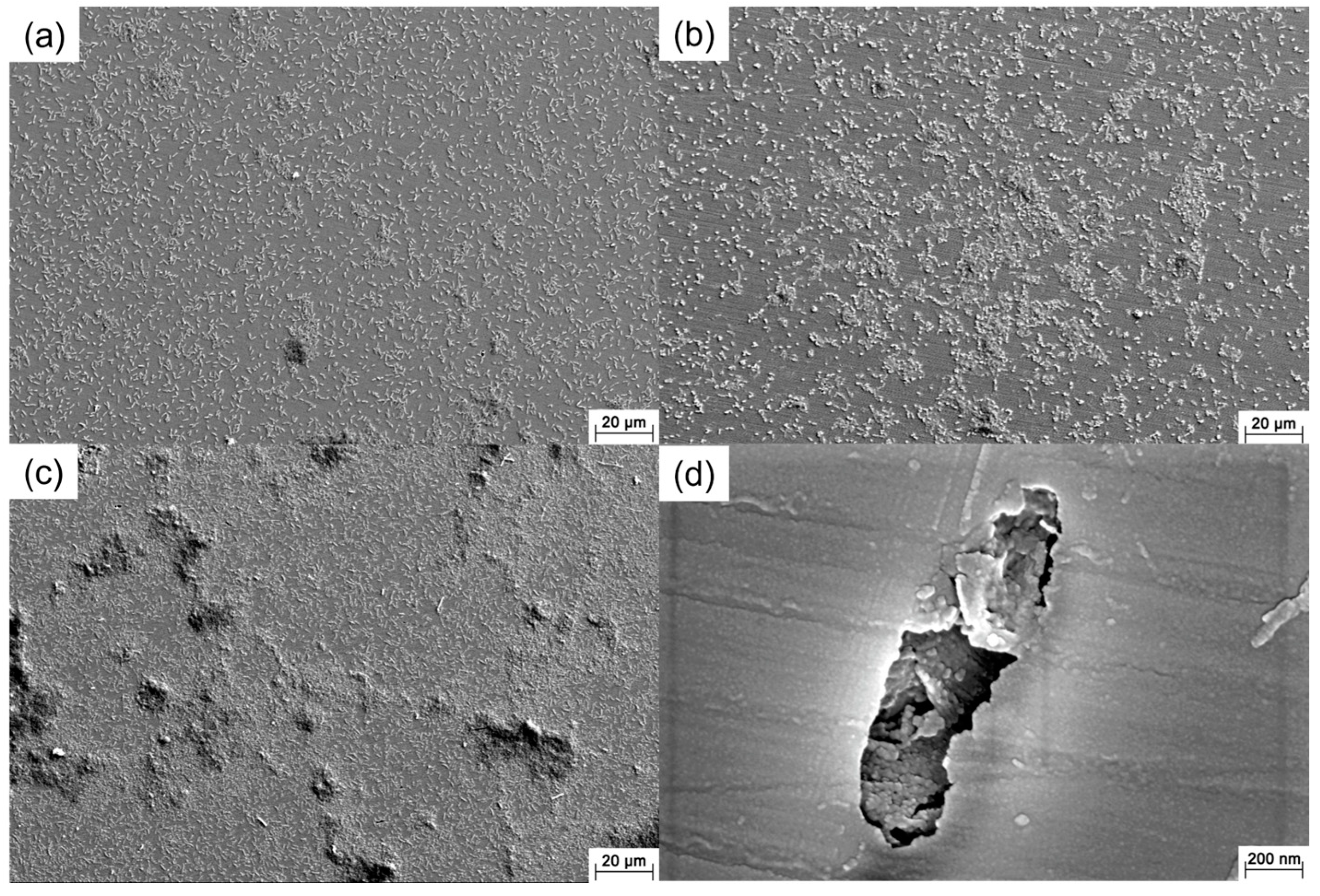 Materials 16 05209 g002 Materials 16 05209 g002
