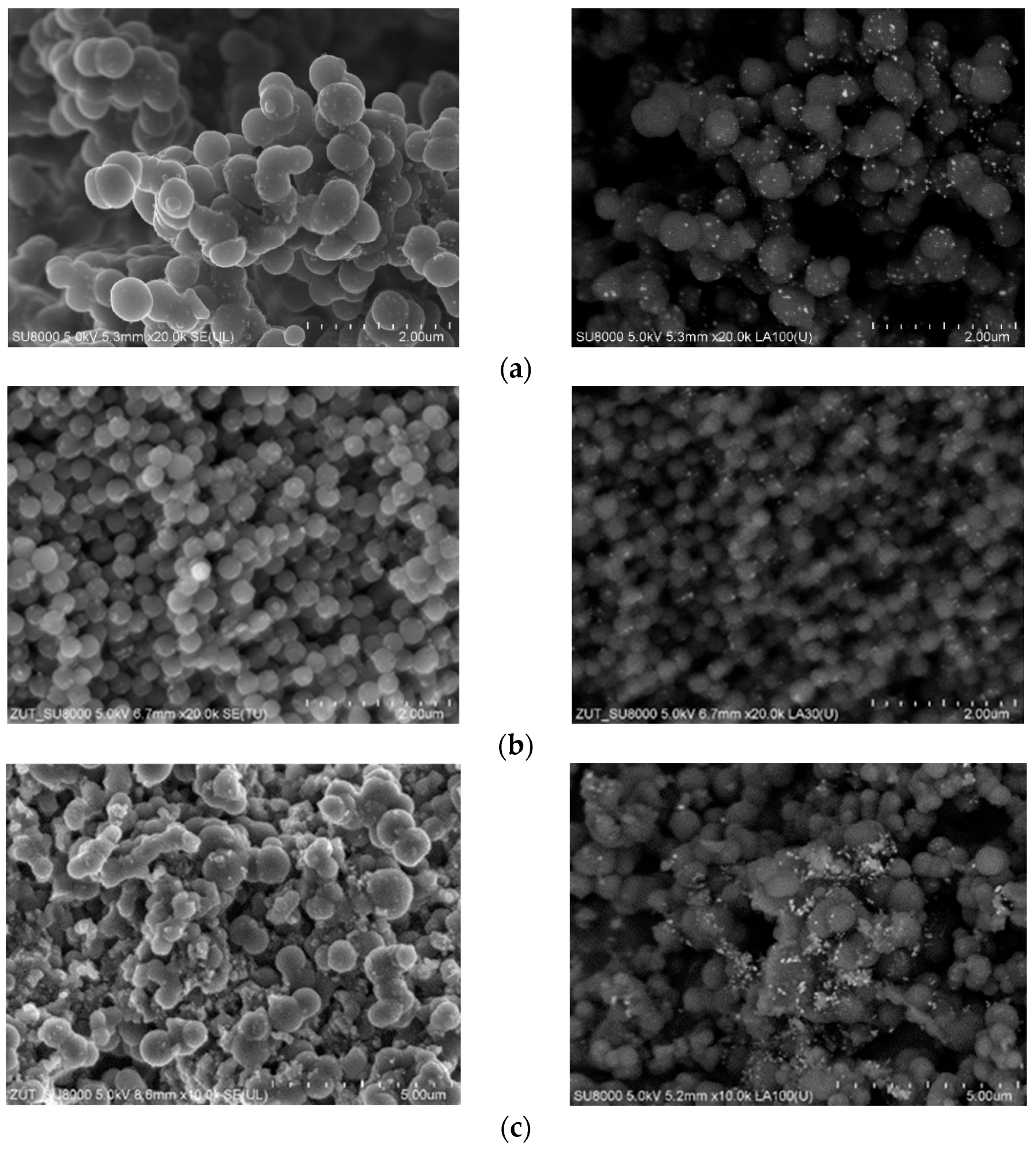 Materials 16 05227 g004a Materials 16 05227 g004a