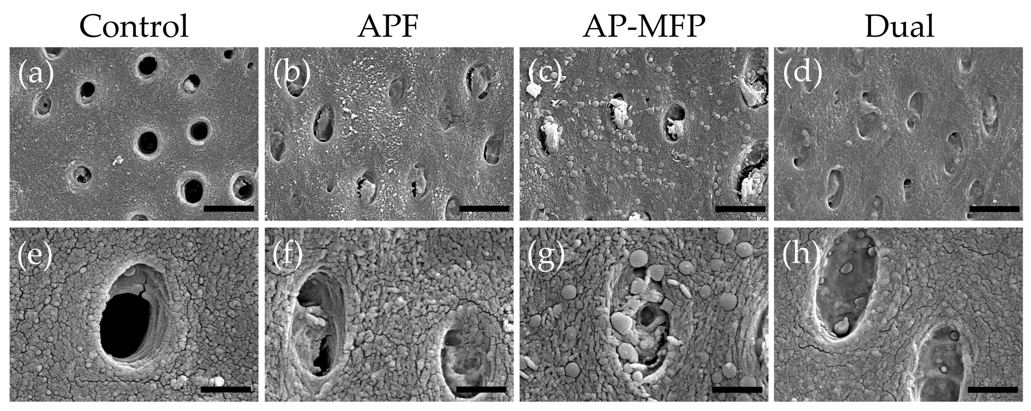 Materials 16 05230 g004