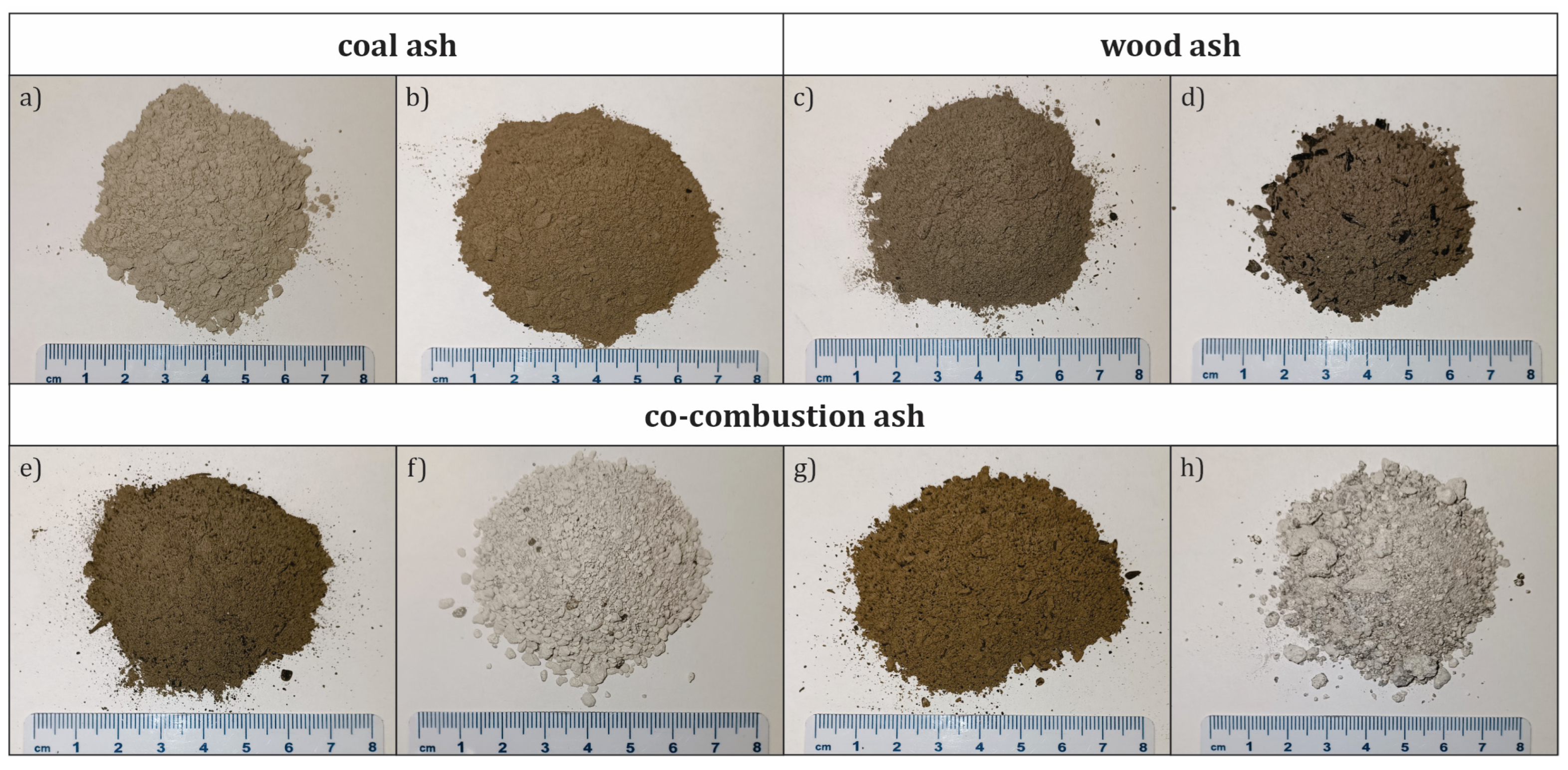 Sylvia's Seasoning Sampler