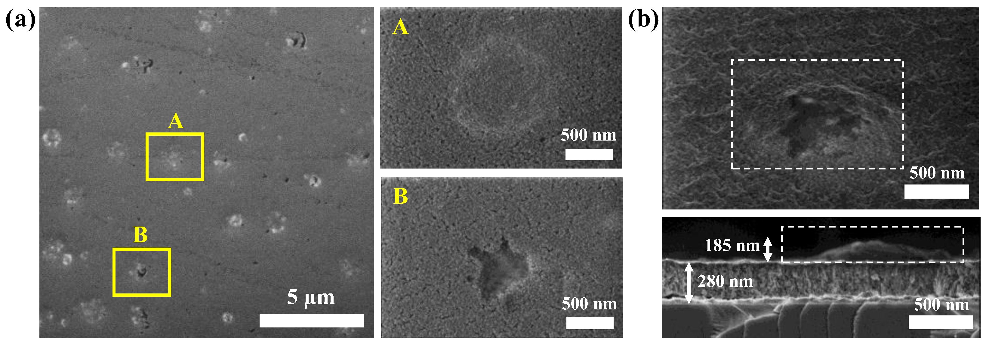 Materials 16 05331 g005