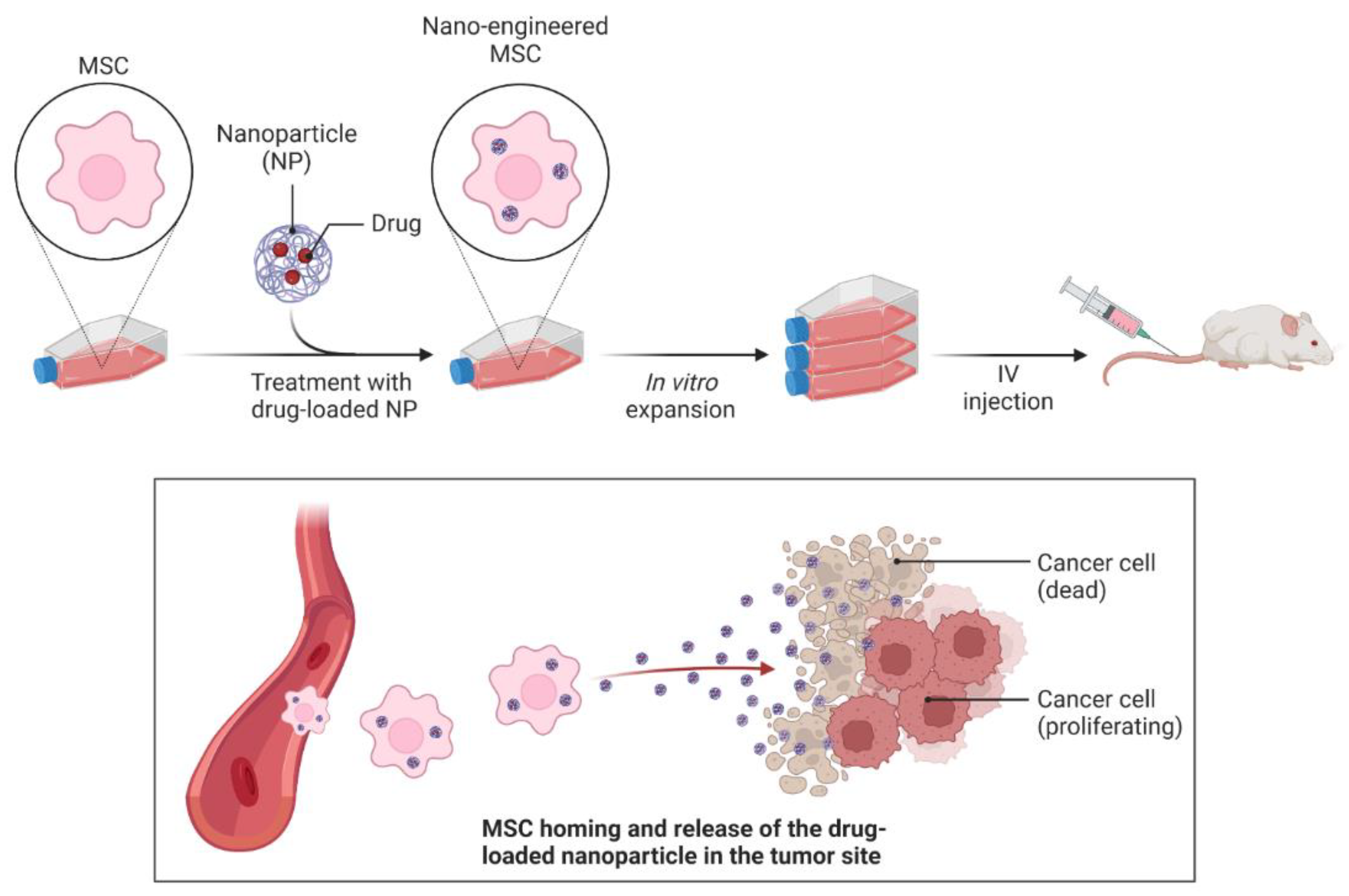 Materials 16 05354 g007