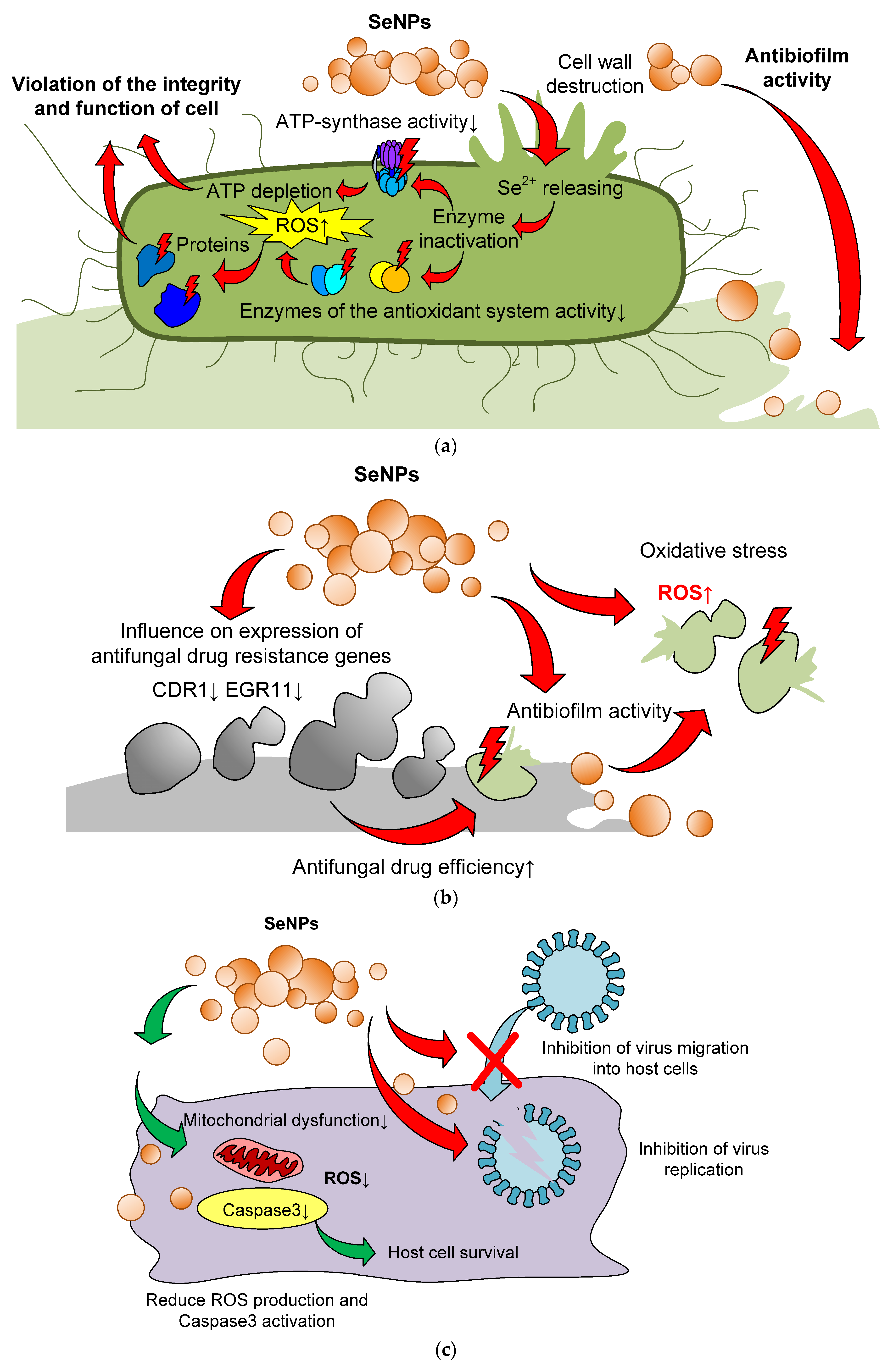 Materials 16 05363 g008a