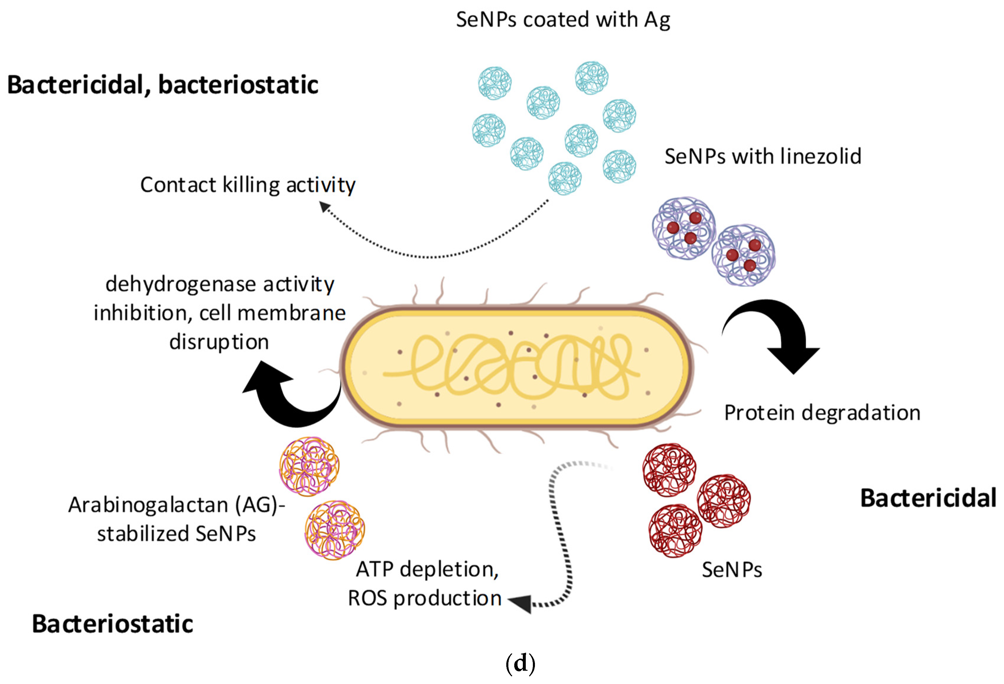 Materials 16 05363 g008b