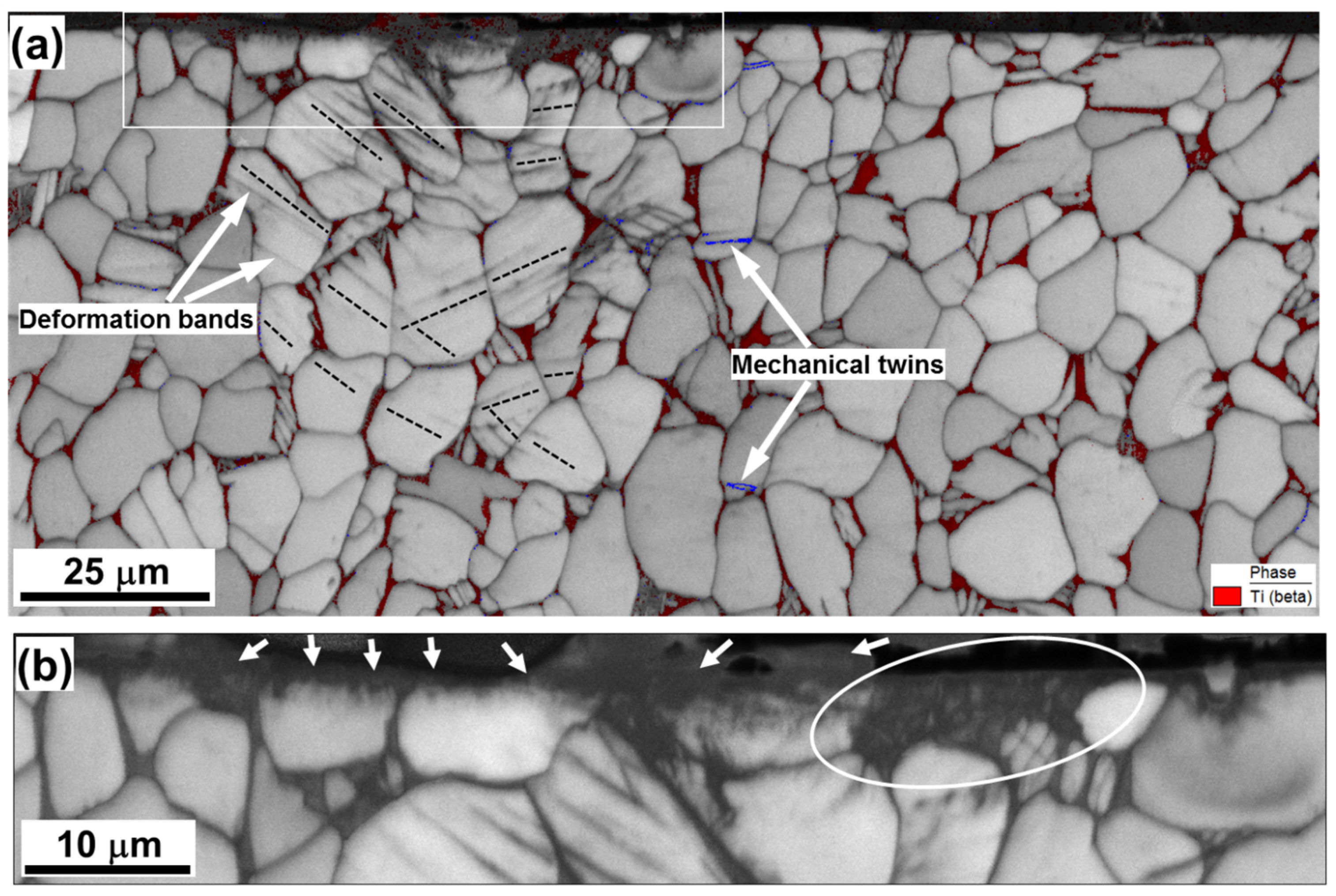 Materials 16 05365 g003