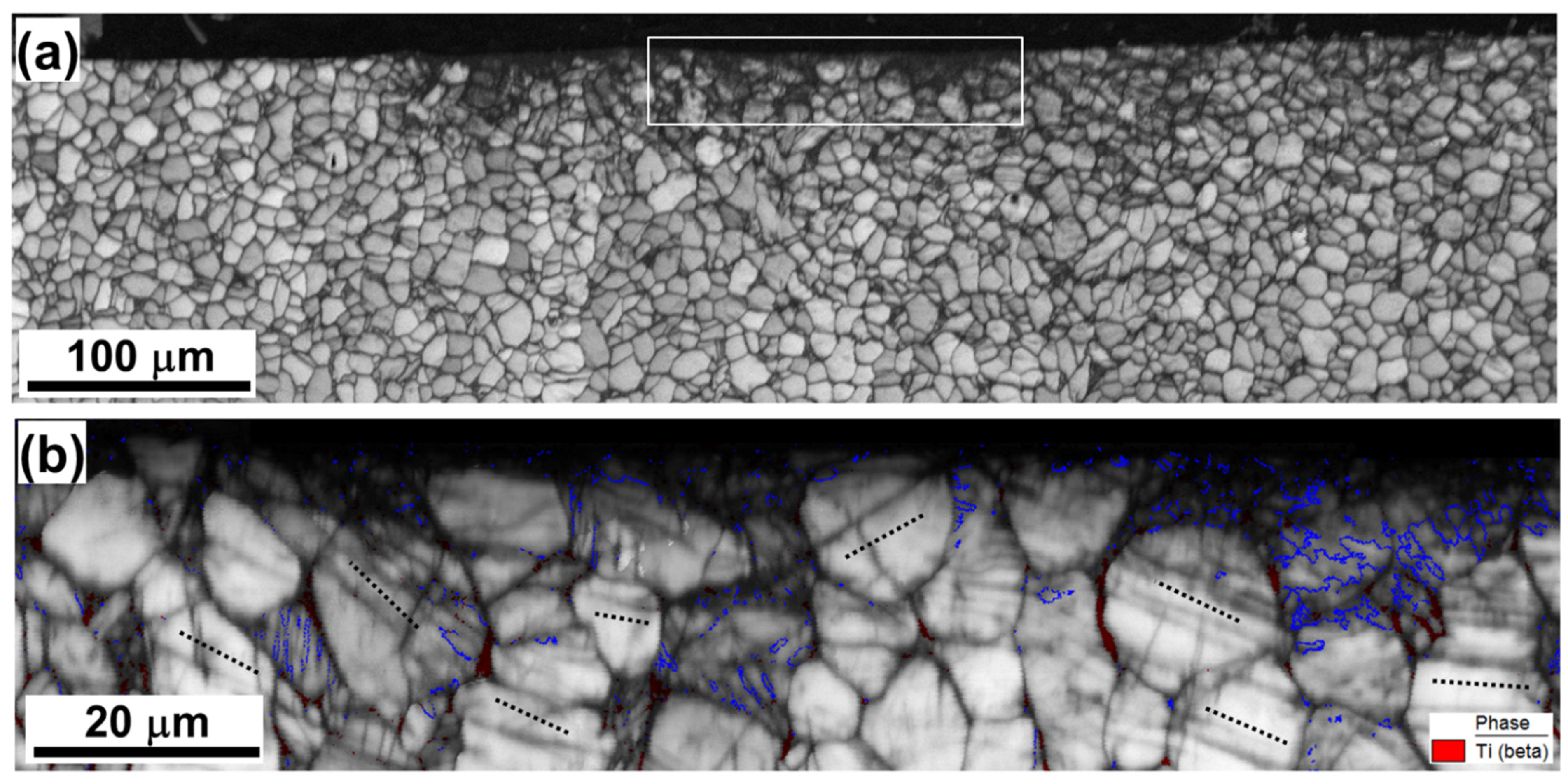 Materials 16 05365 g005