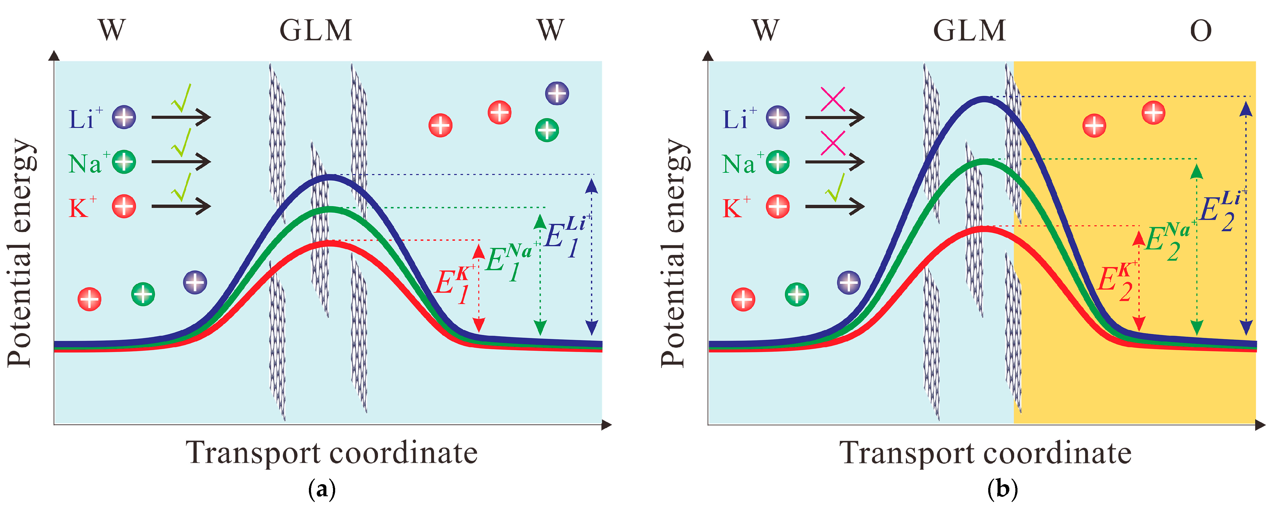 Materials 16 05393 g005