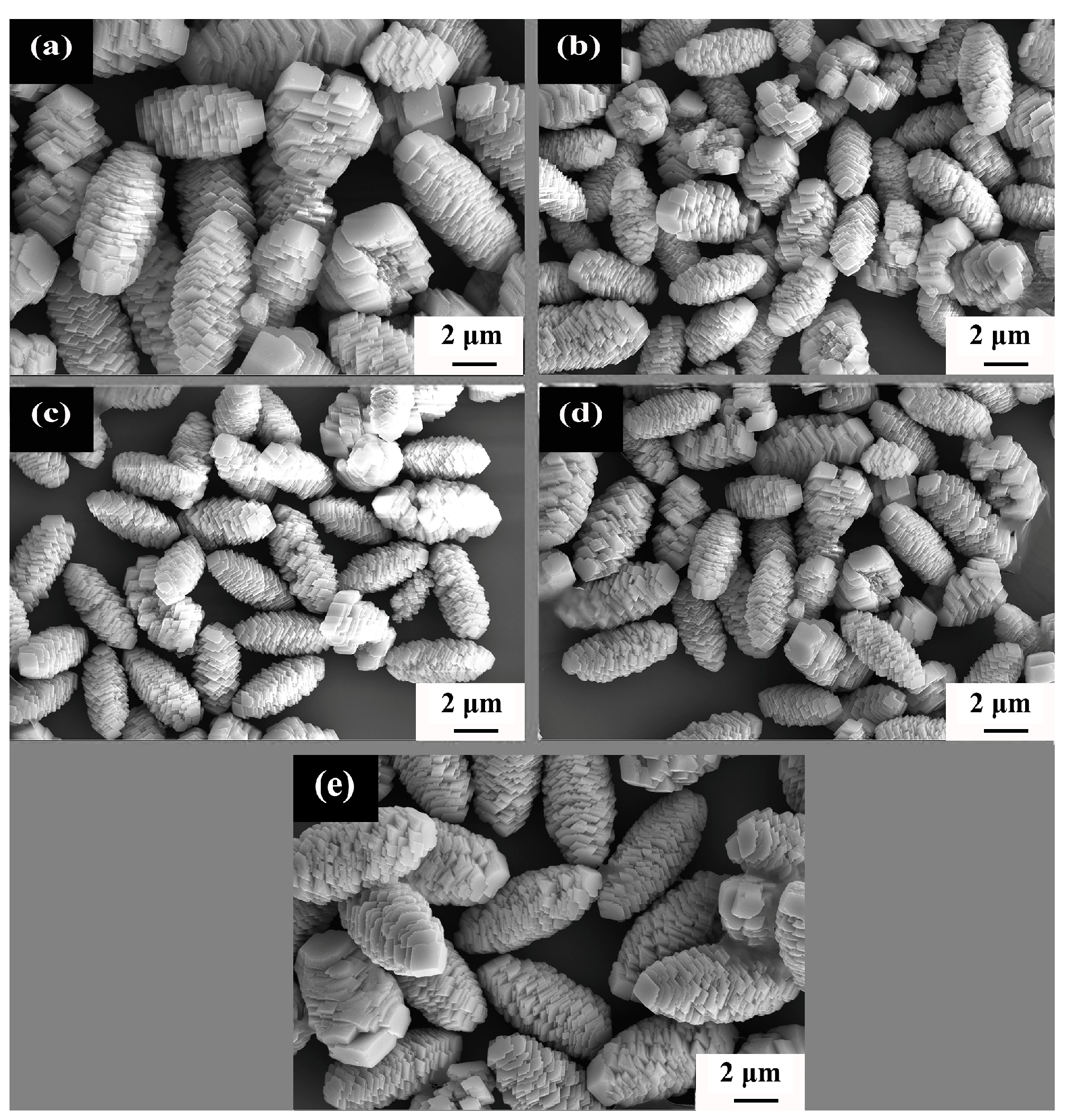 Materials 16 05398 g002