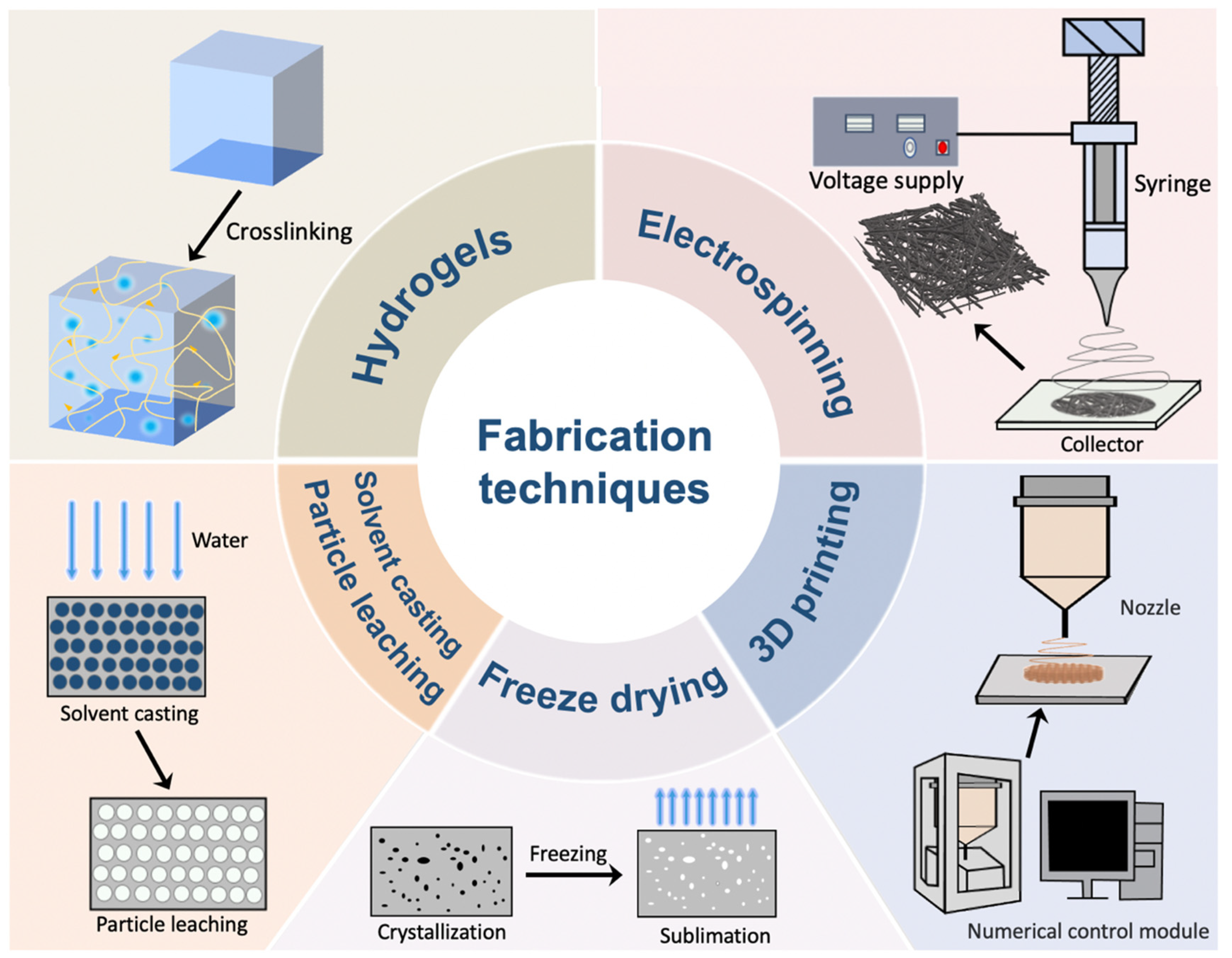 Materials 16 05459 g001