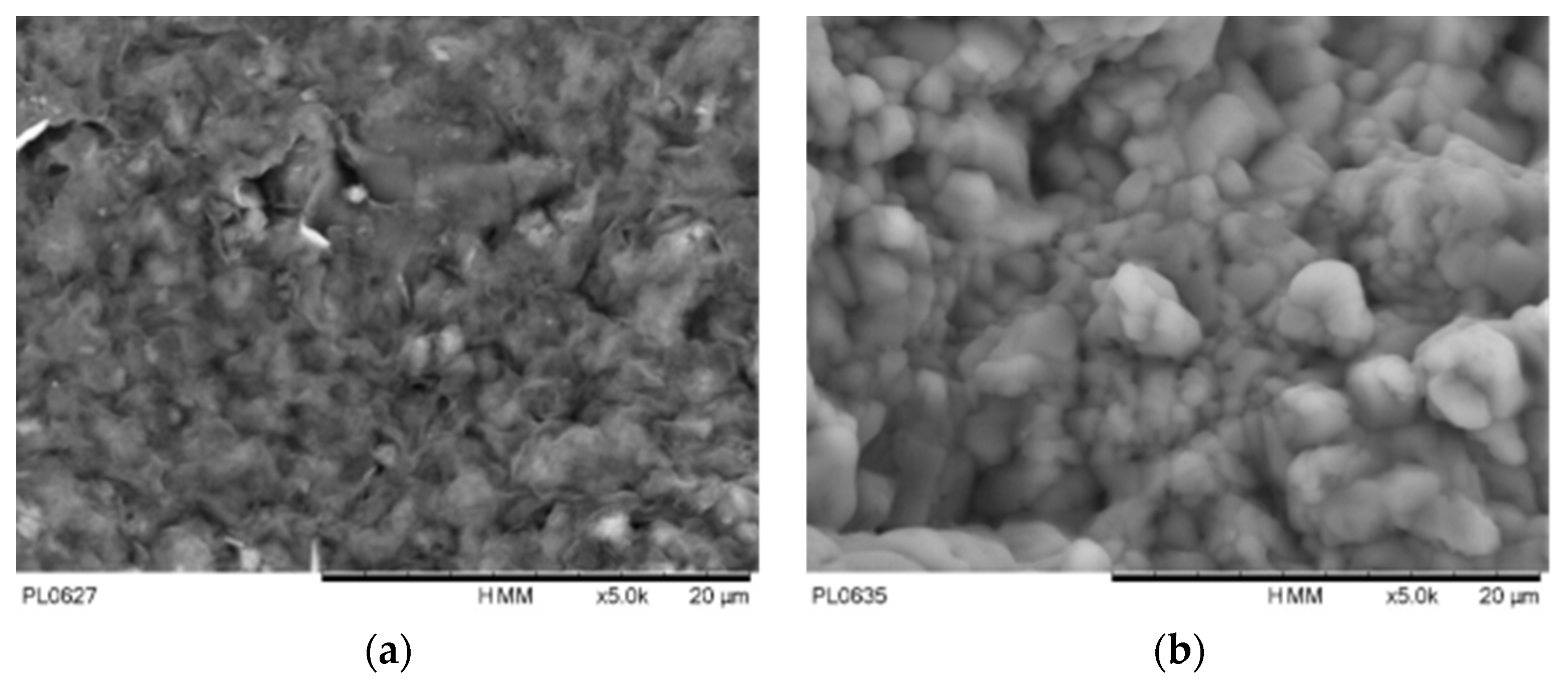 Materials | Free Full-Text | Modeling the Salinity Effect on the Water ...