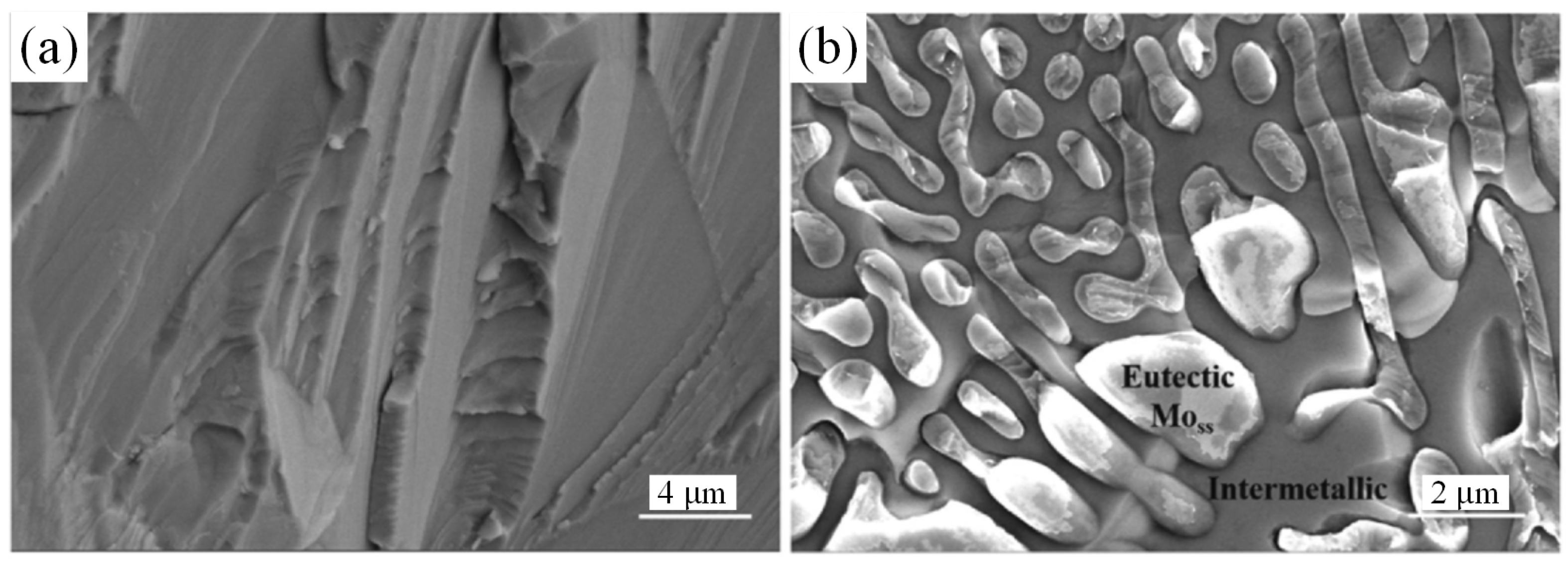 Materials 16 05495 g008 Materials 16 05495 g008