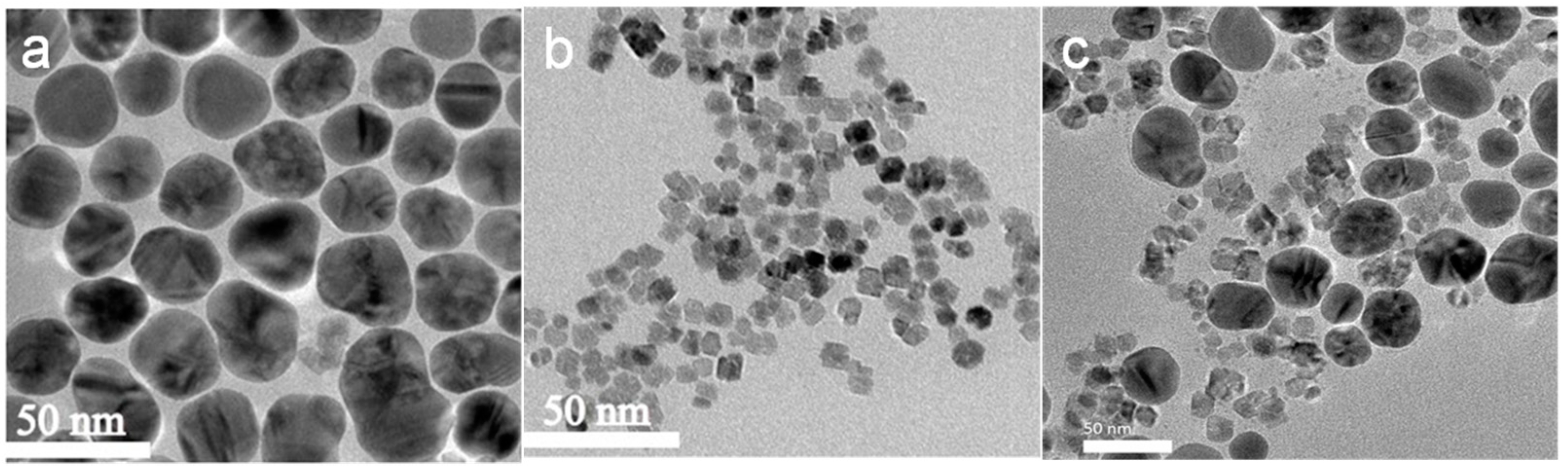 Materials 16 05505 g003