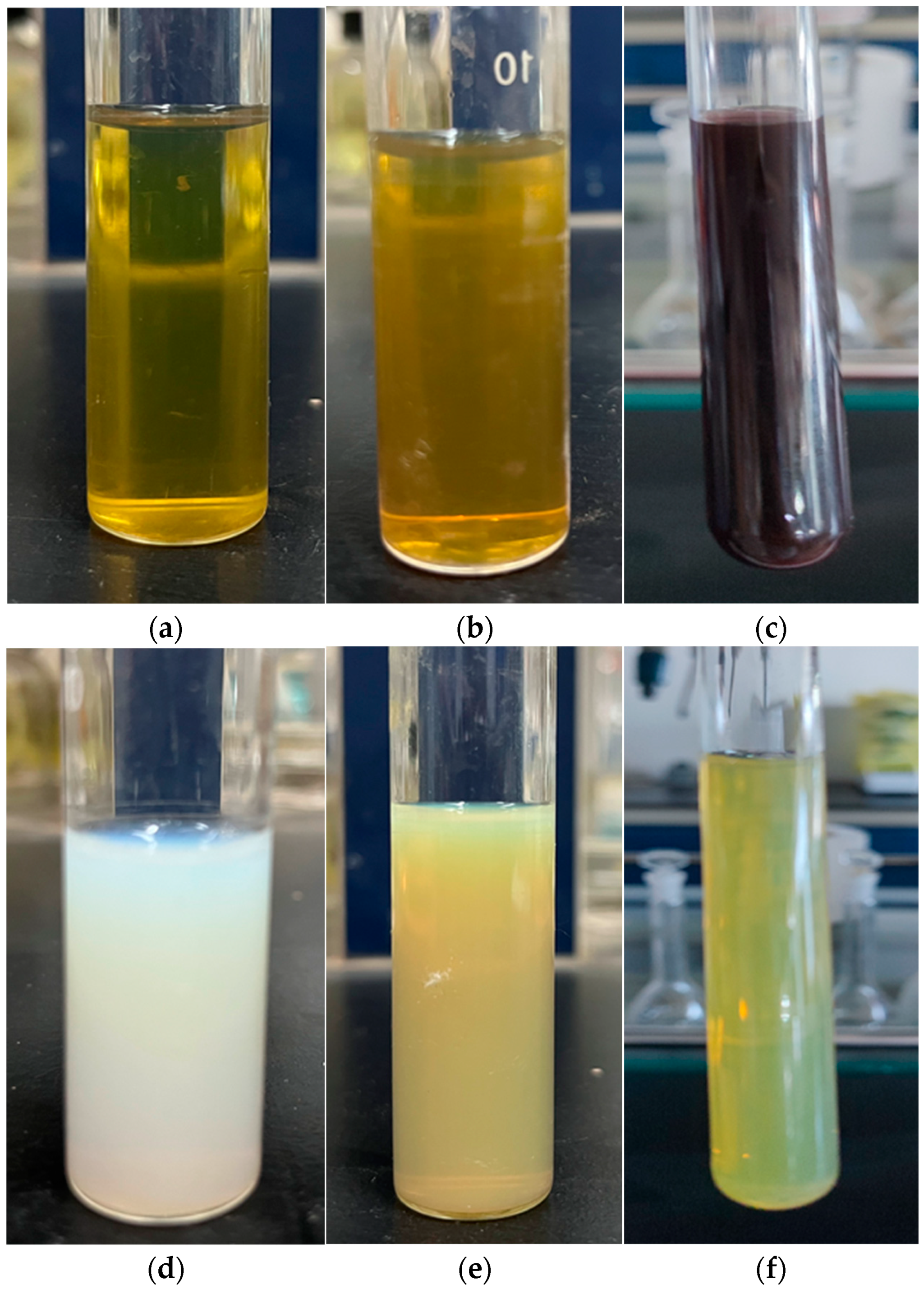 Materials 16 05505 g004