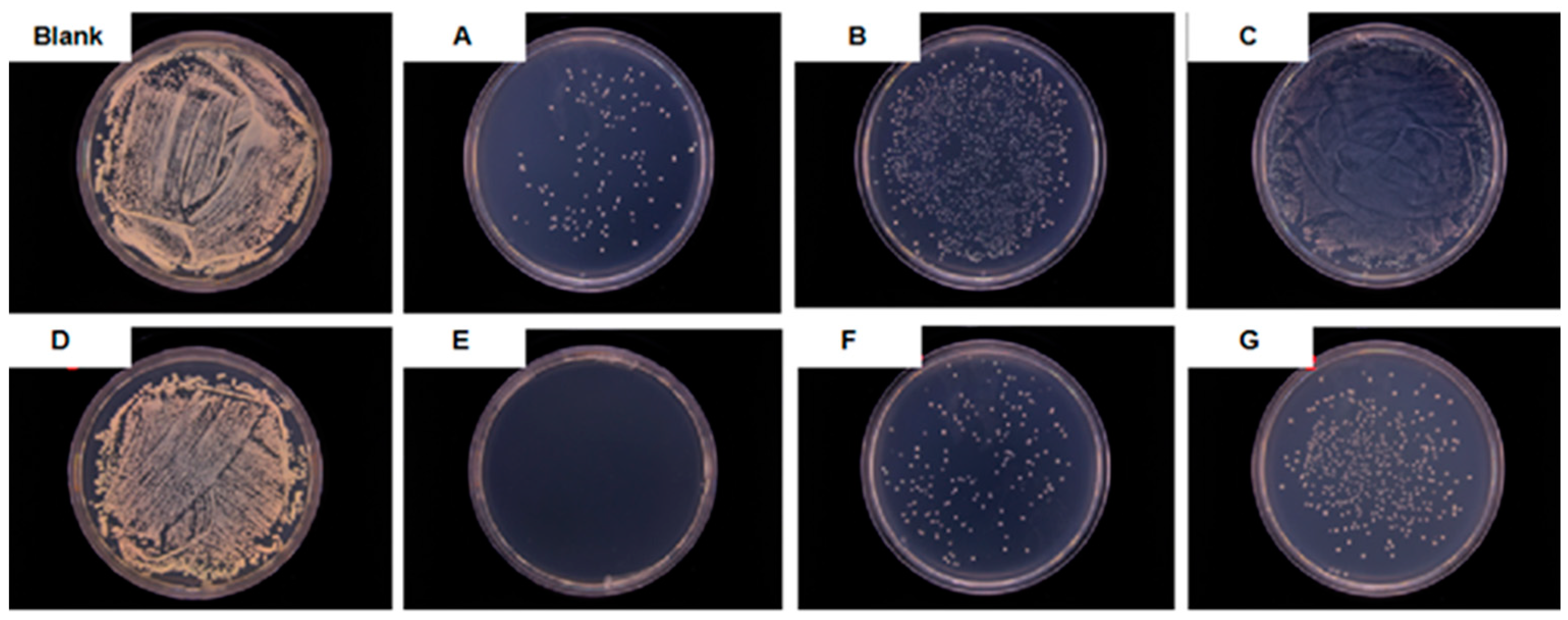 Materials 16 05505 g005