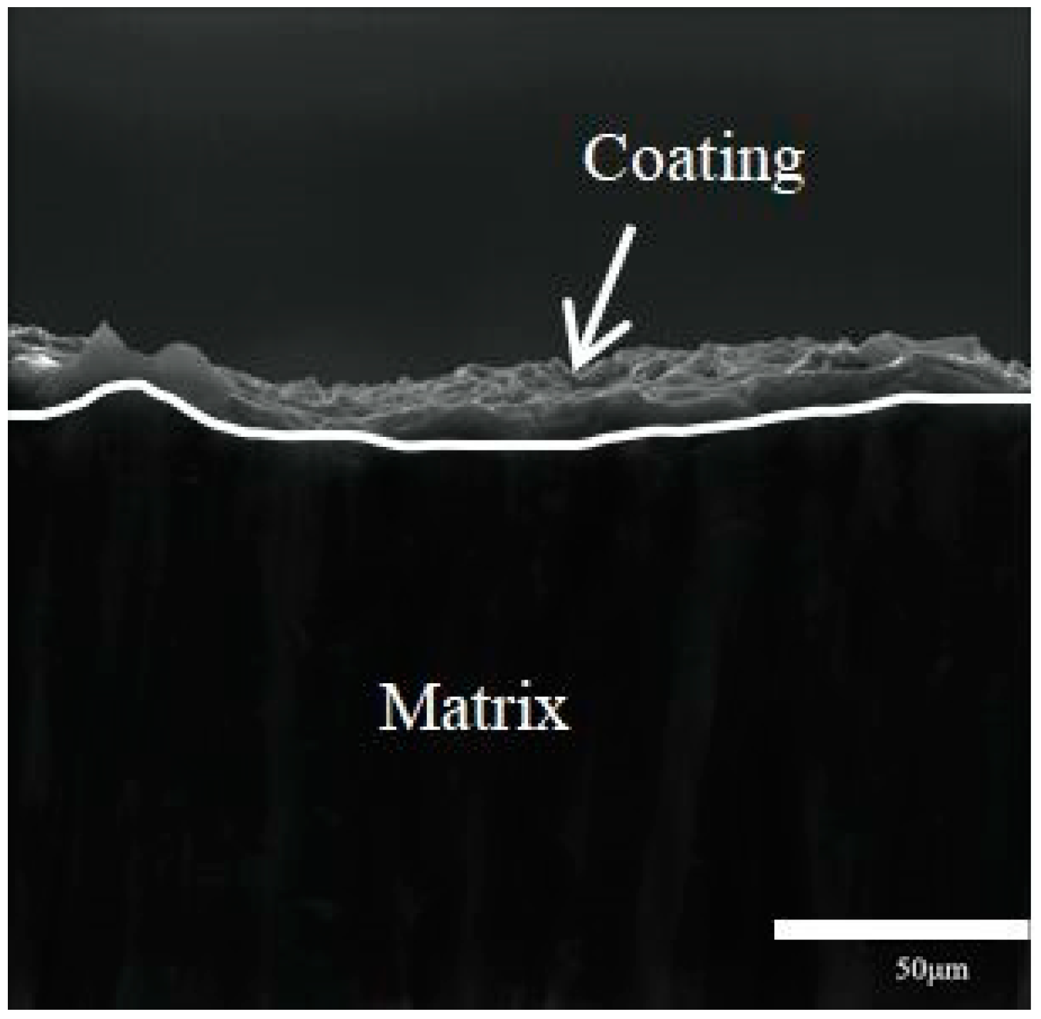 Materials 16 05511 g007