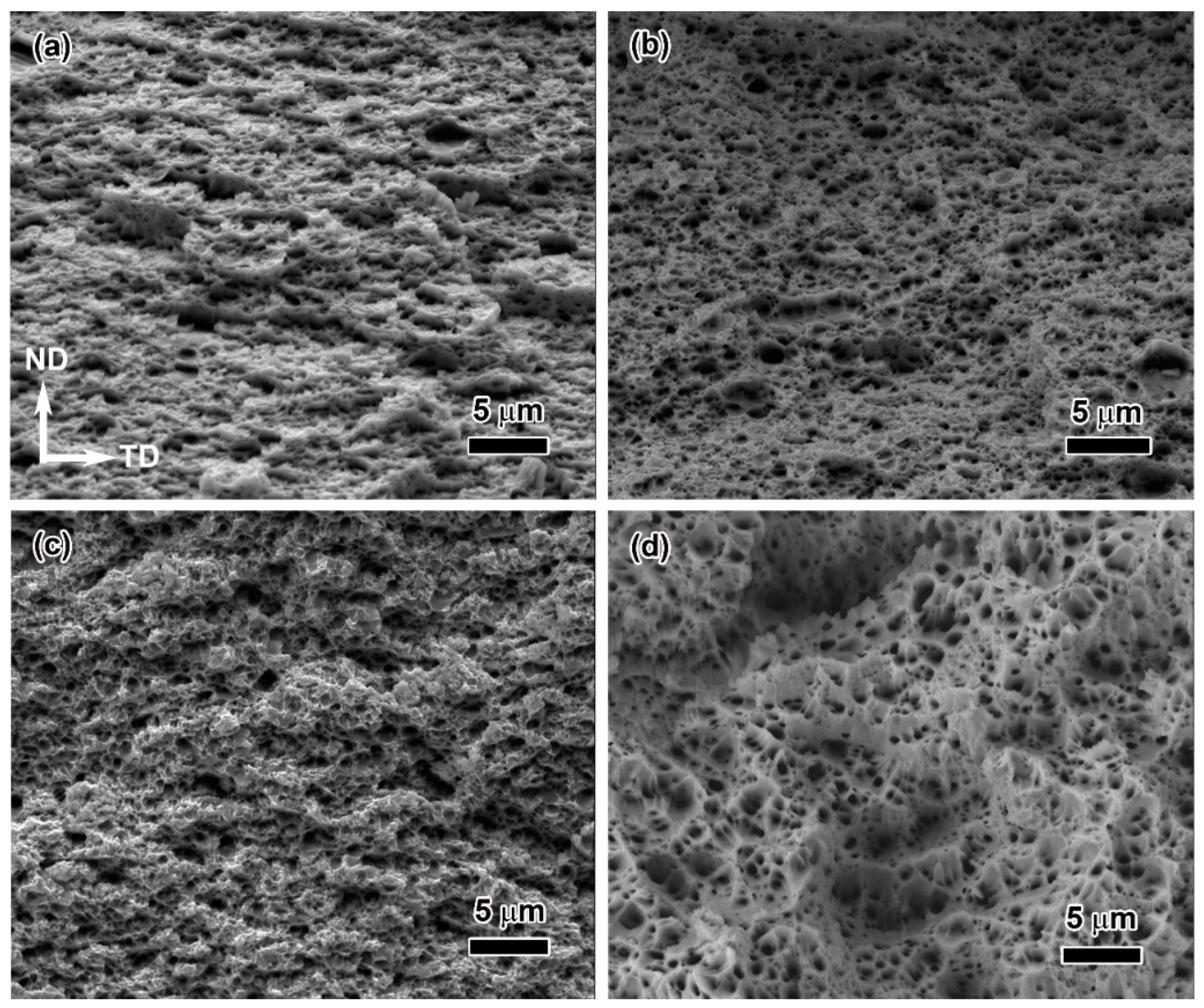 Materials 16 05534 g010