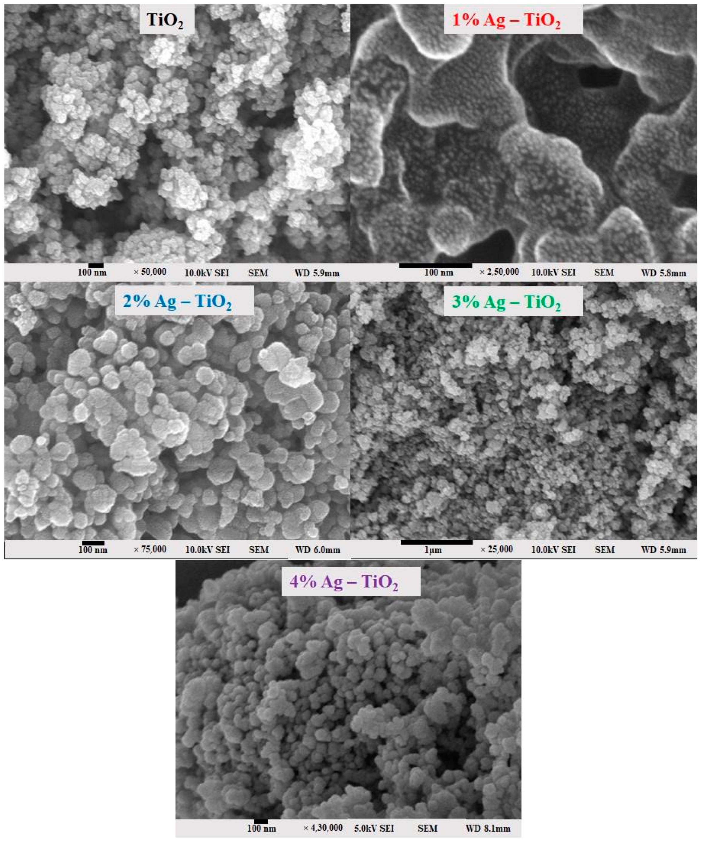 Materials 16 05731 g003