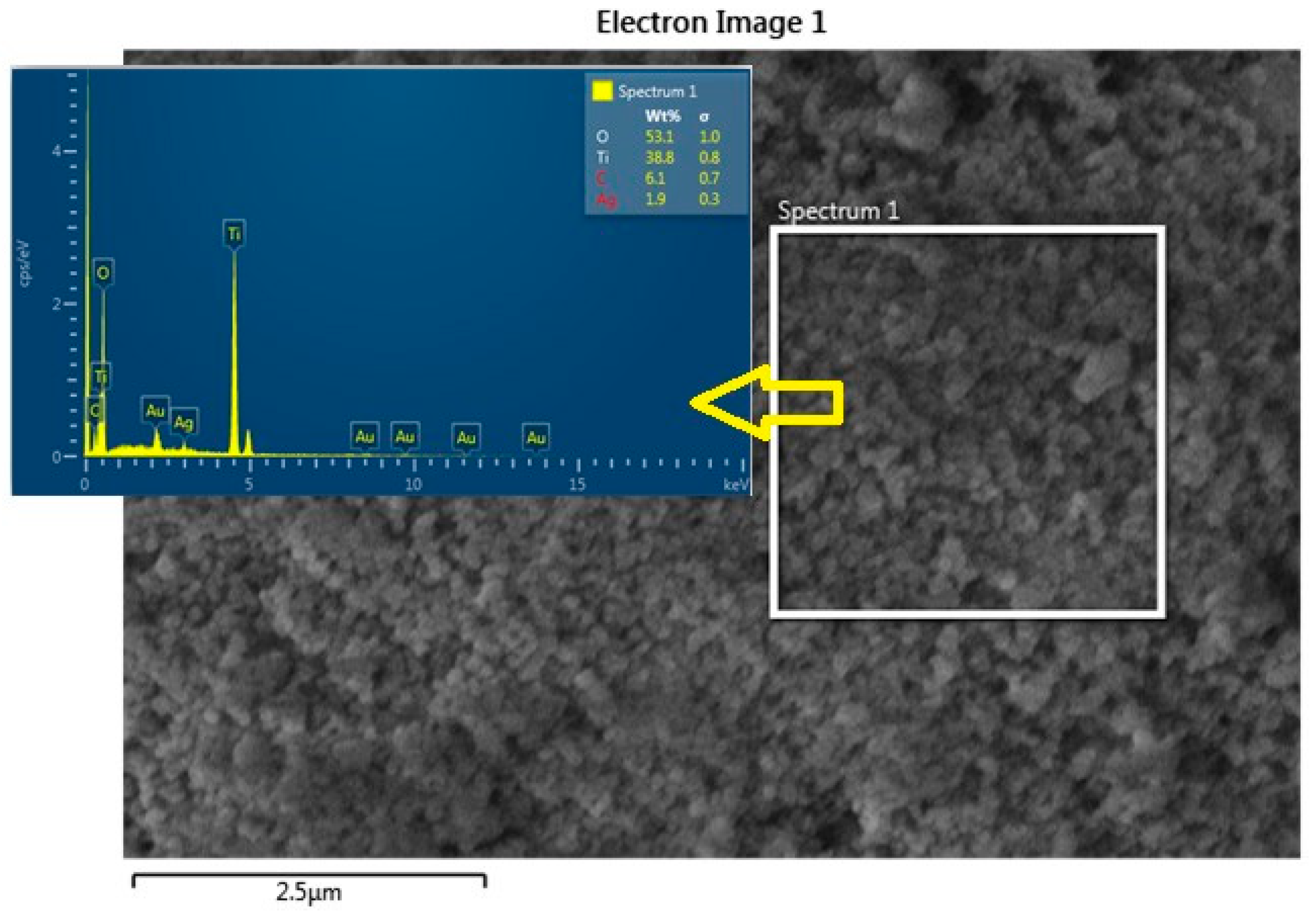 Materials 16 05731 g004
