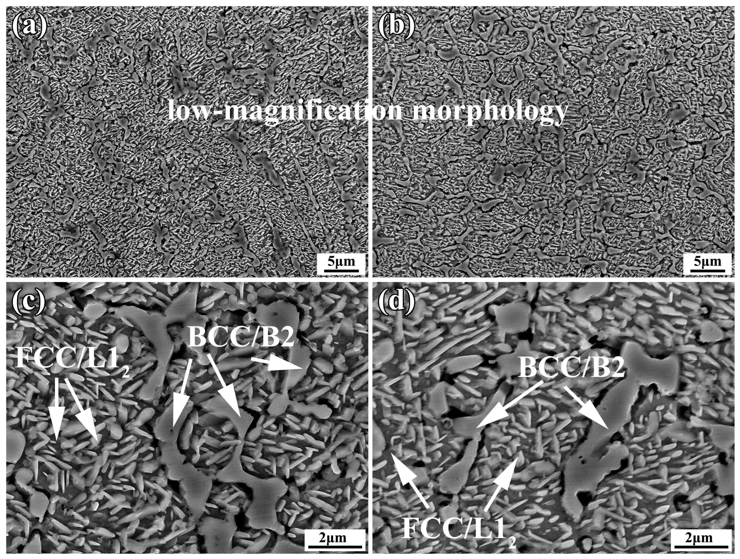 Materials 16 05747 g006