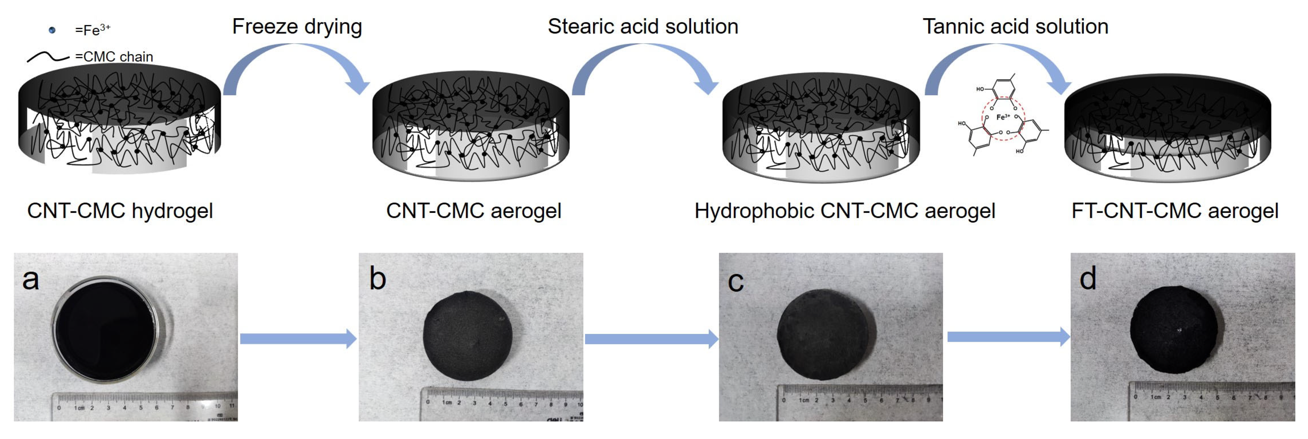 Materials 16 05815 g001