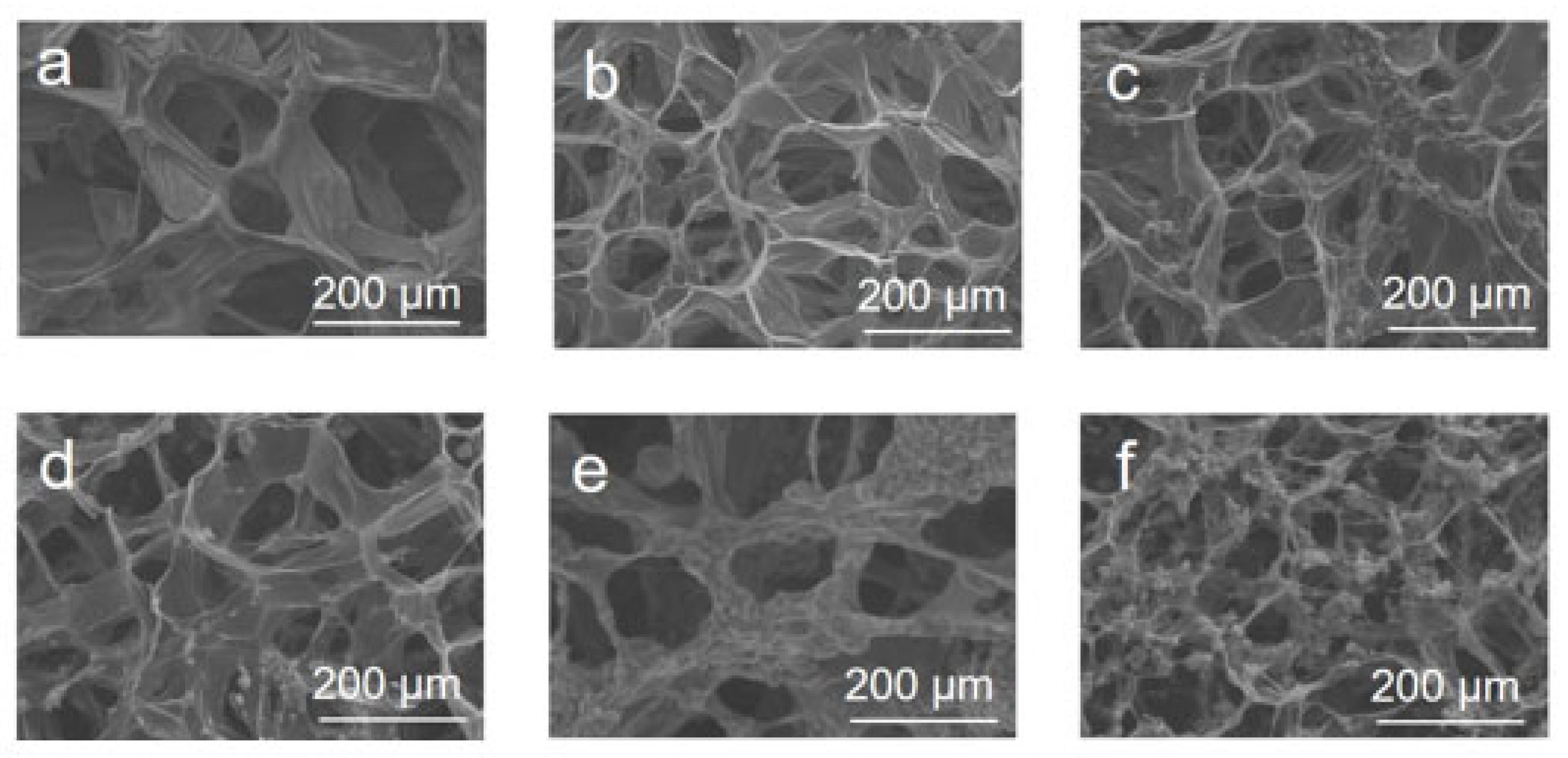 Materials 16 05815 g002