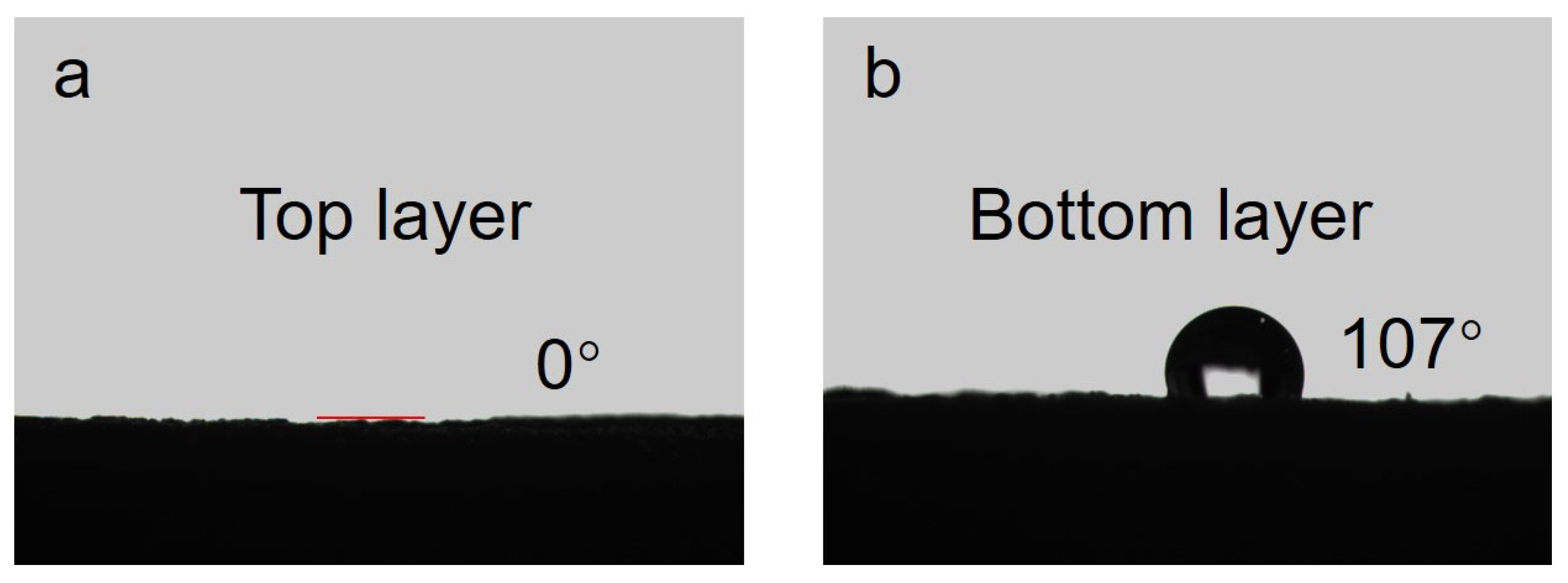 Materials 16 05815 g004