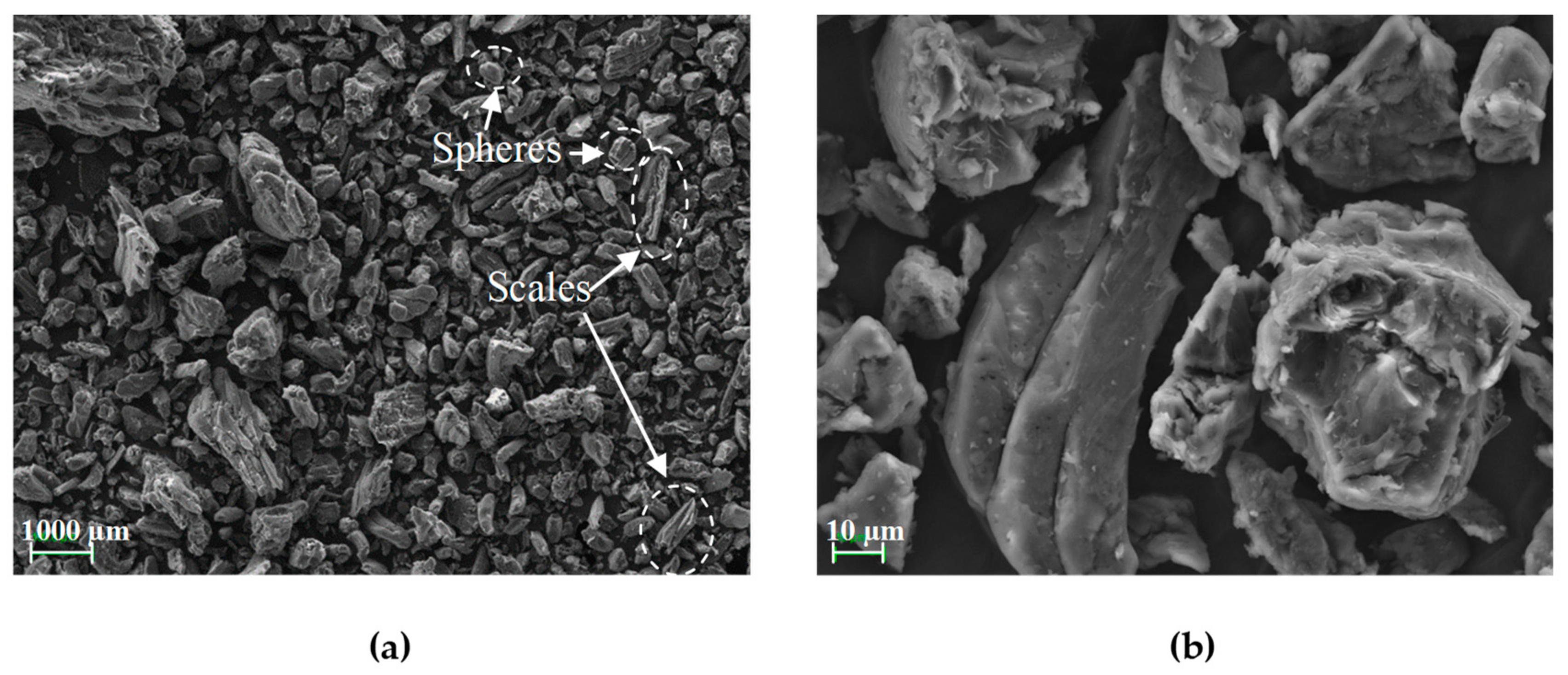 Materials 16 05816 g002