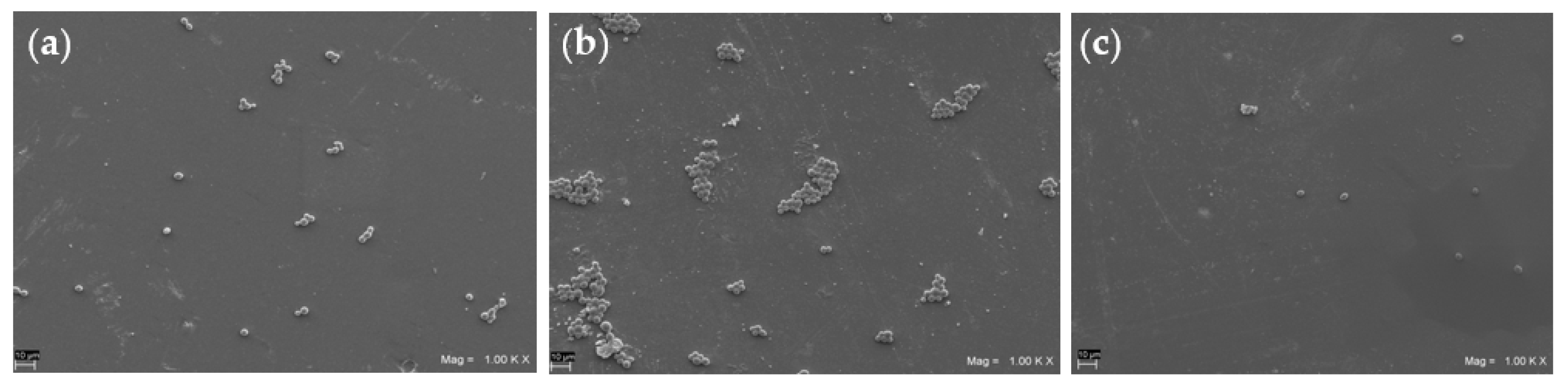 Materials 16 05818 g006