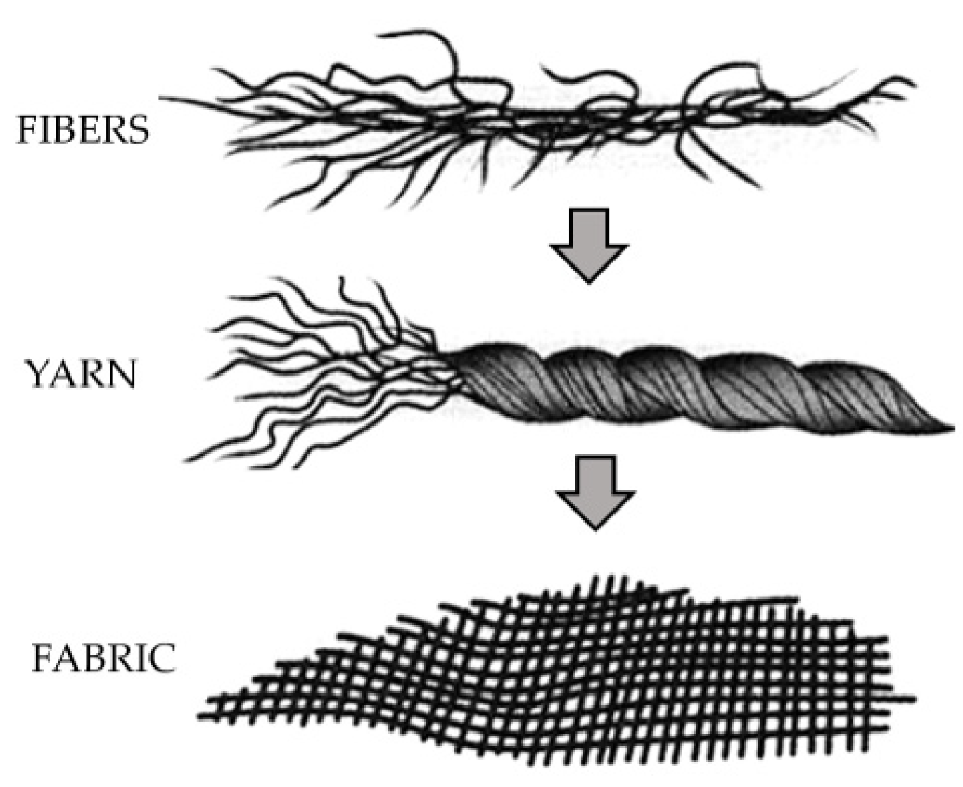 Materials 16 05837 g001