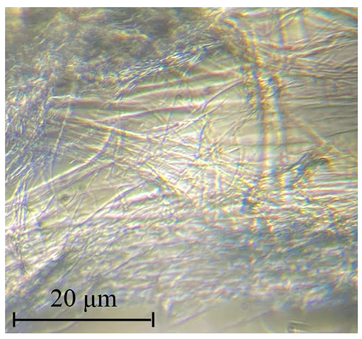 Materials 16 05843 g002