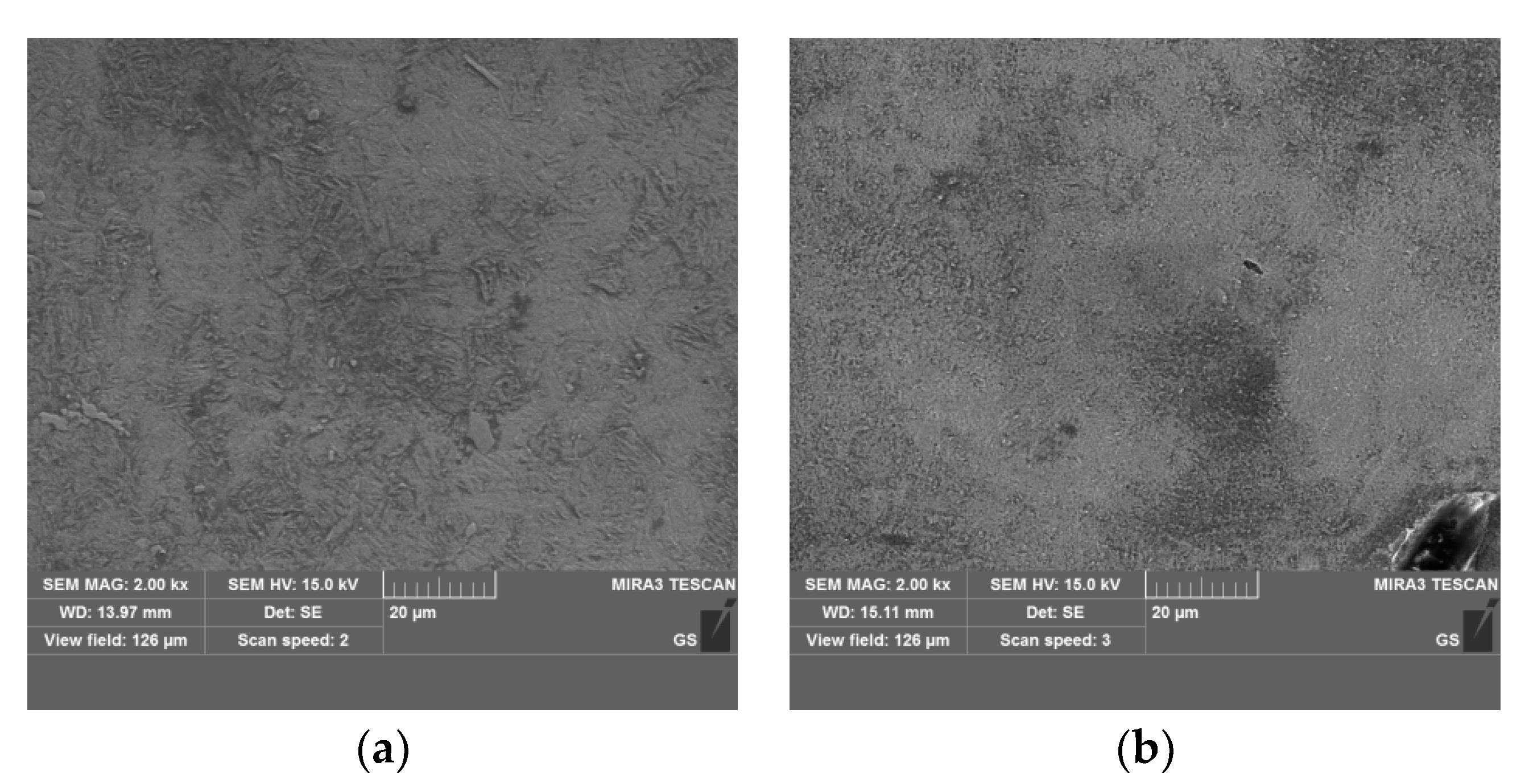 Materials 16 05876 g002