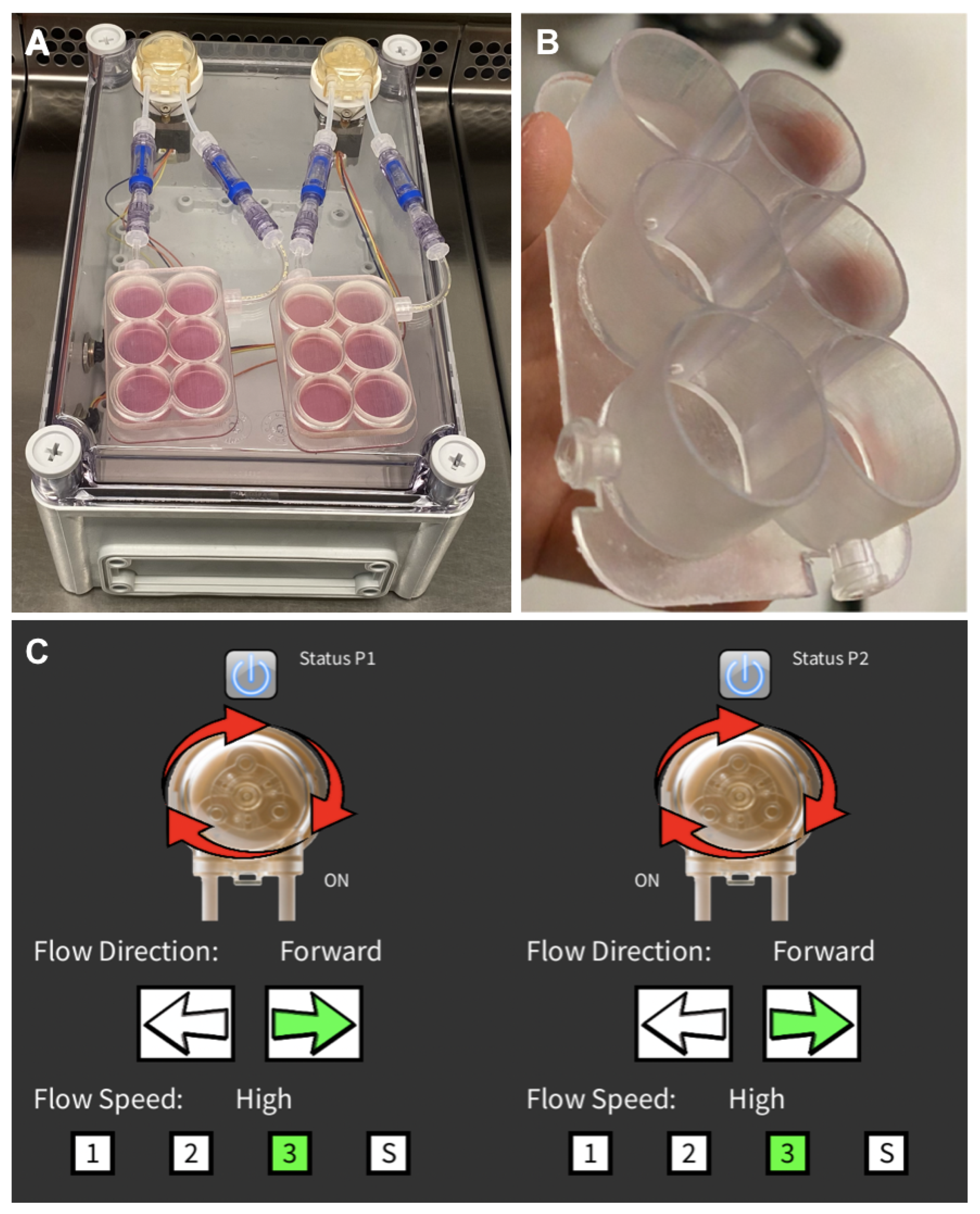 Materials 16 05898 g003 Materials 16 05898 g003