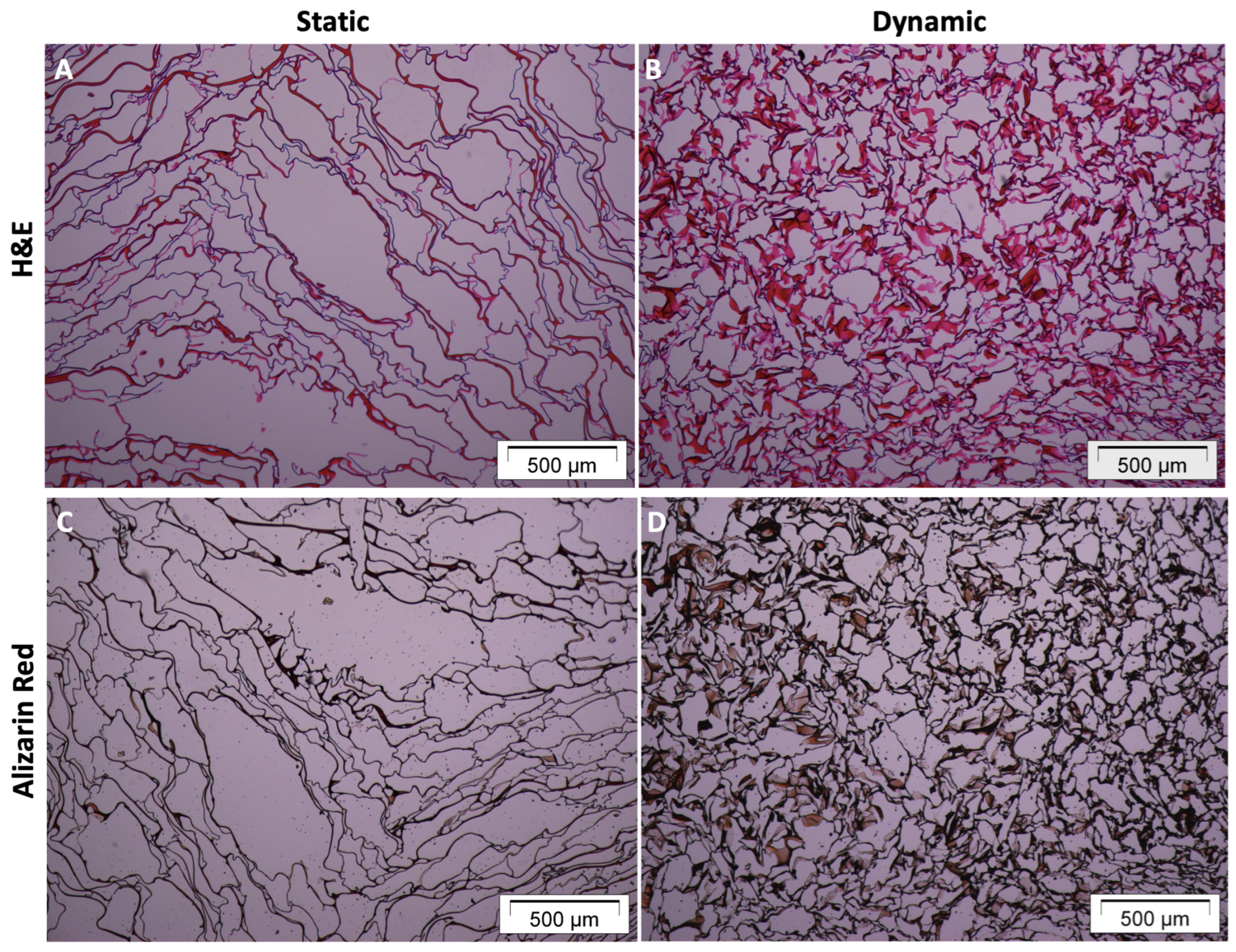 Materials 16 05898 g004 Materials 16 05898 g004