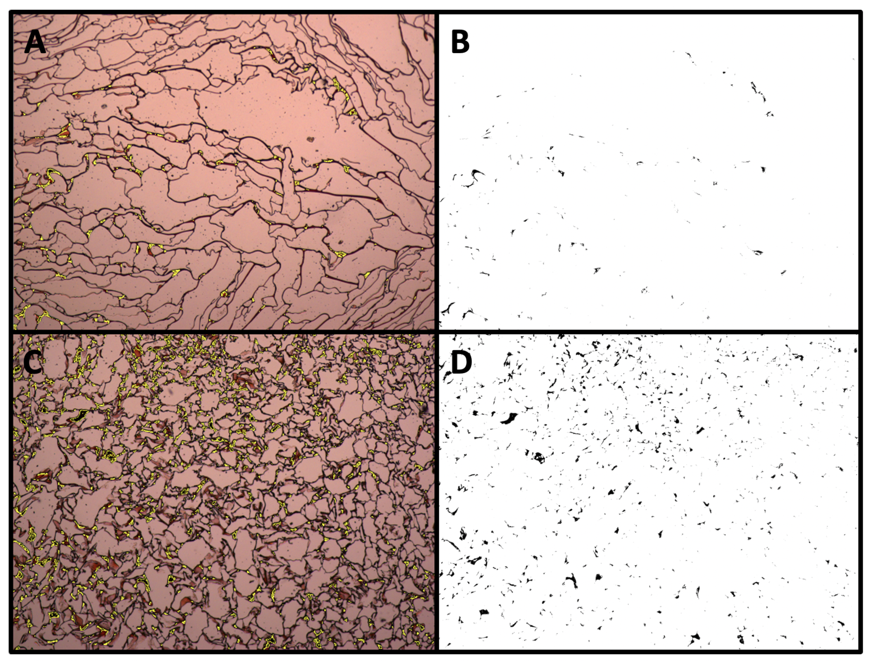 Materials 16 05898 g005 Materials 16 05898 g005