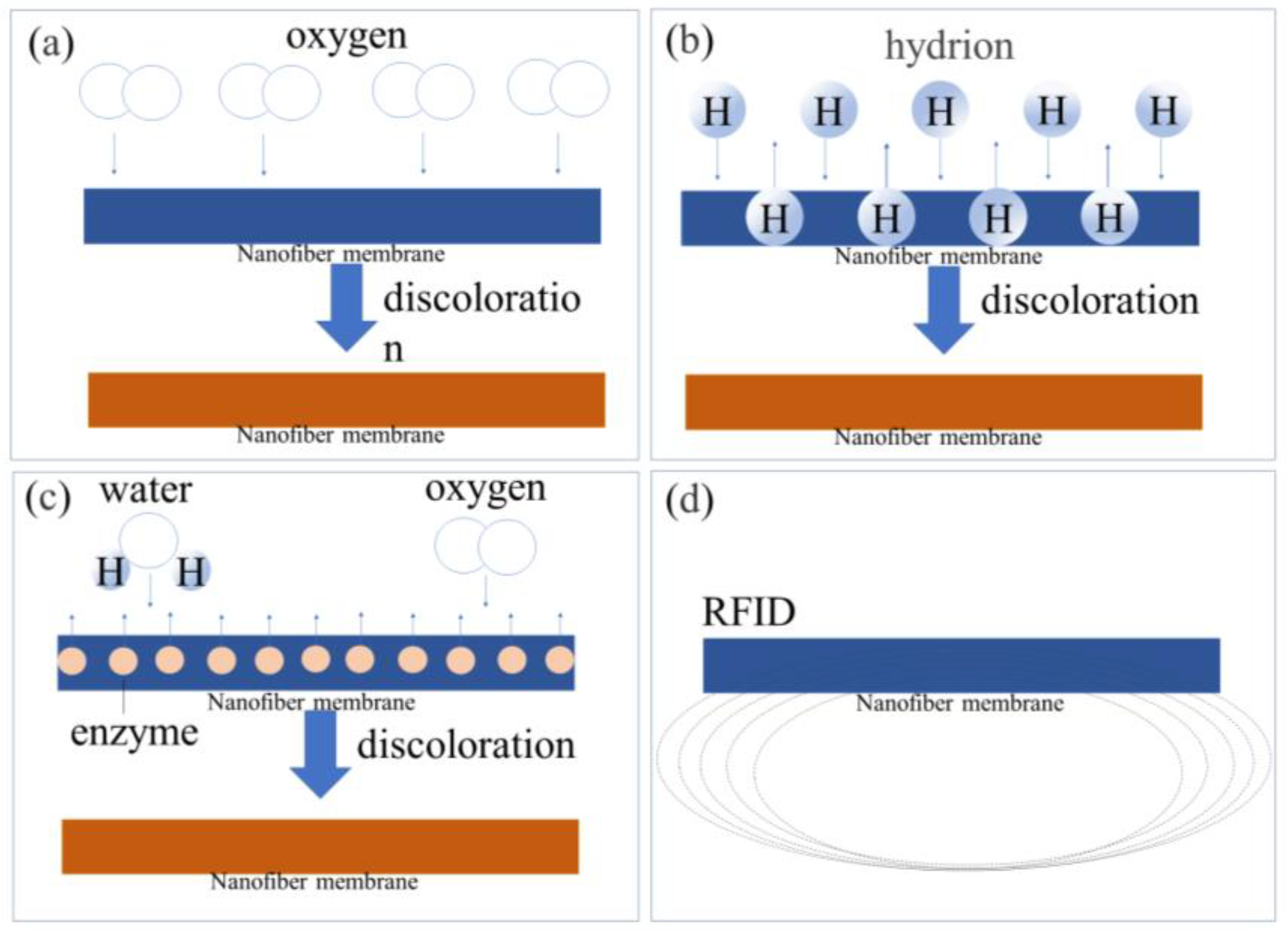 Materials 16 05937 g005