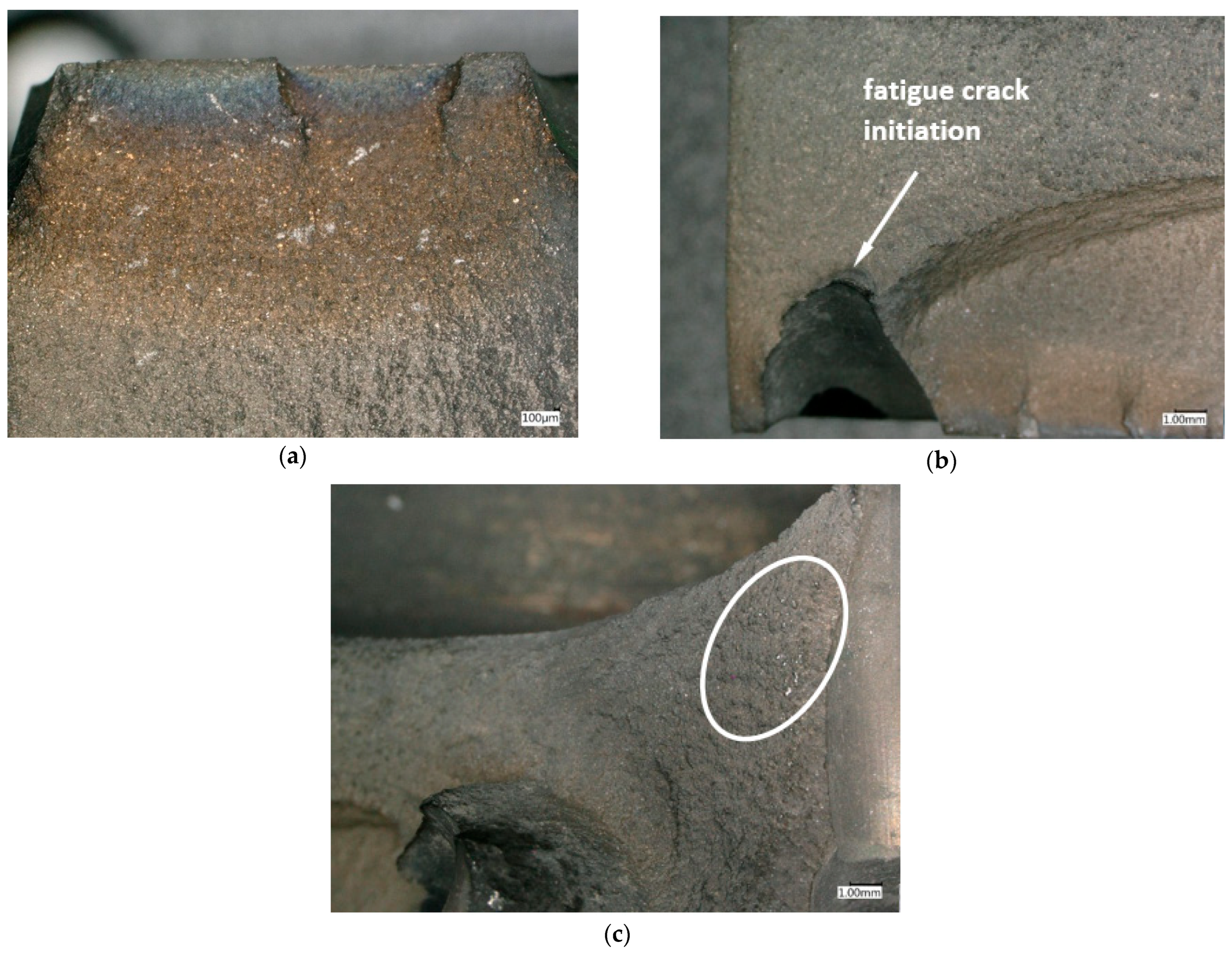 Materials 16 05939 g004