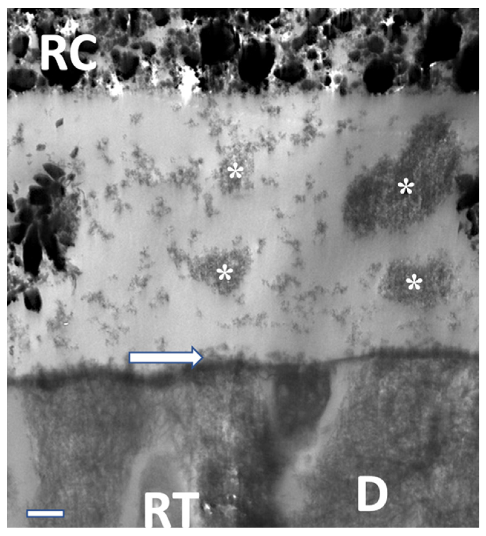 Materials 16 05948 g011